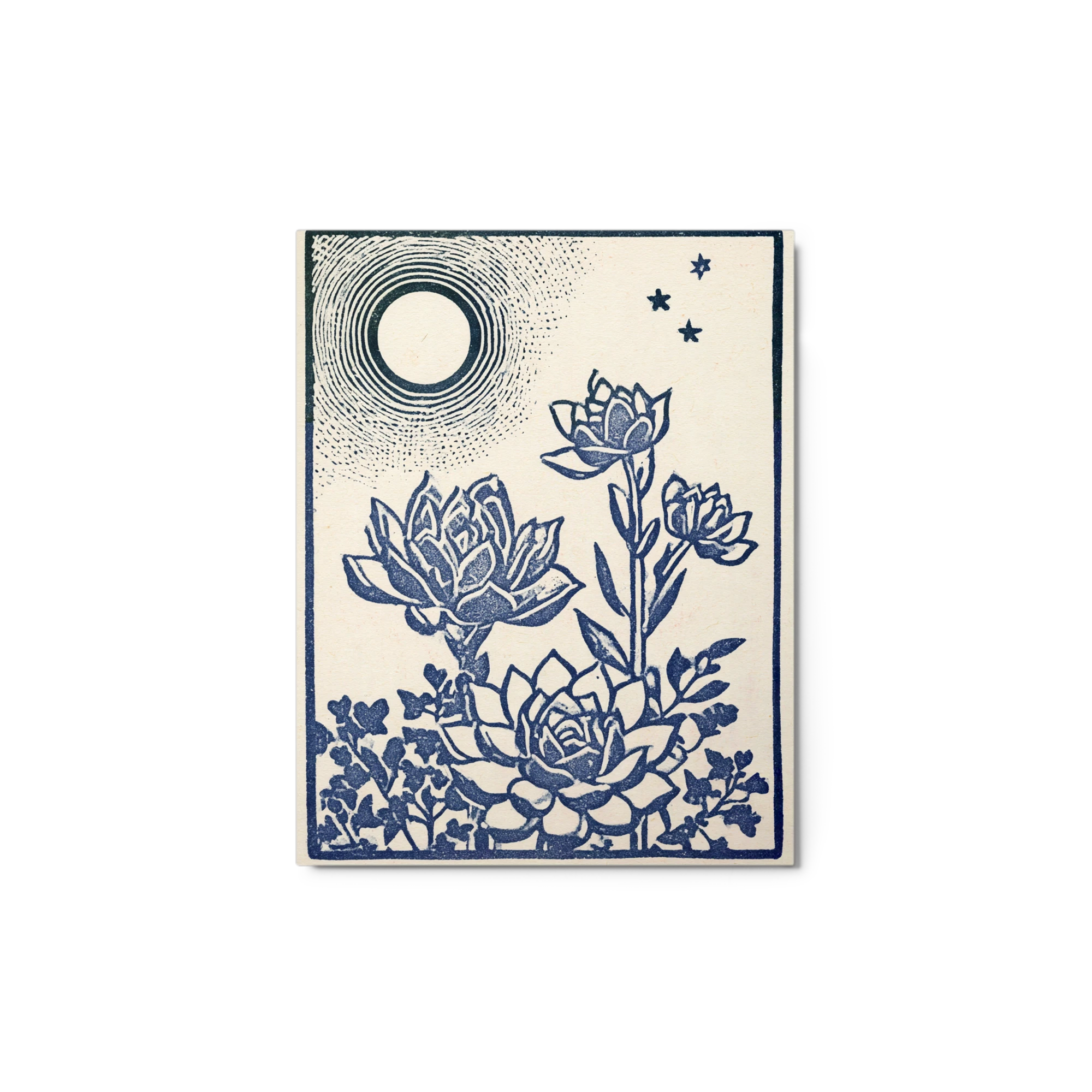 Celestial Succulents