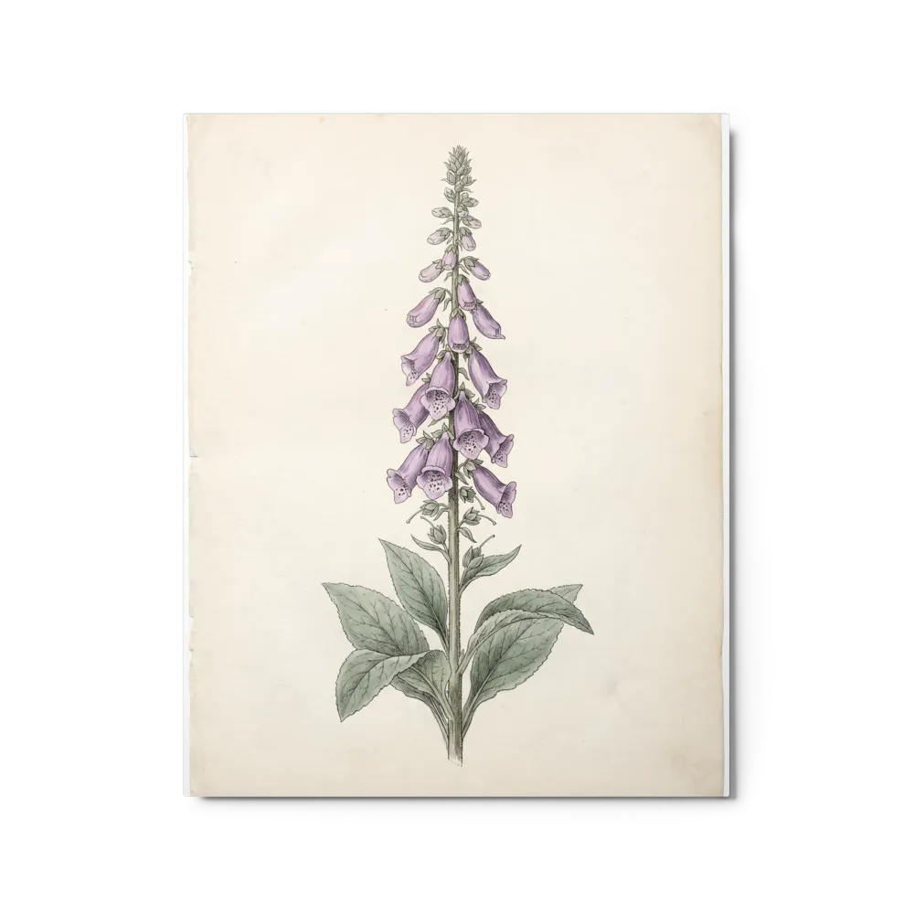 Regal Foxglove Bloom 
 Poster with Black Frame | 11″x 14″