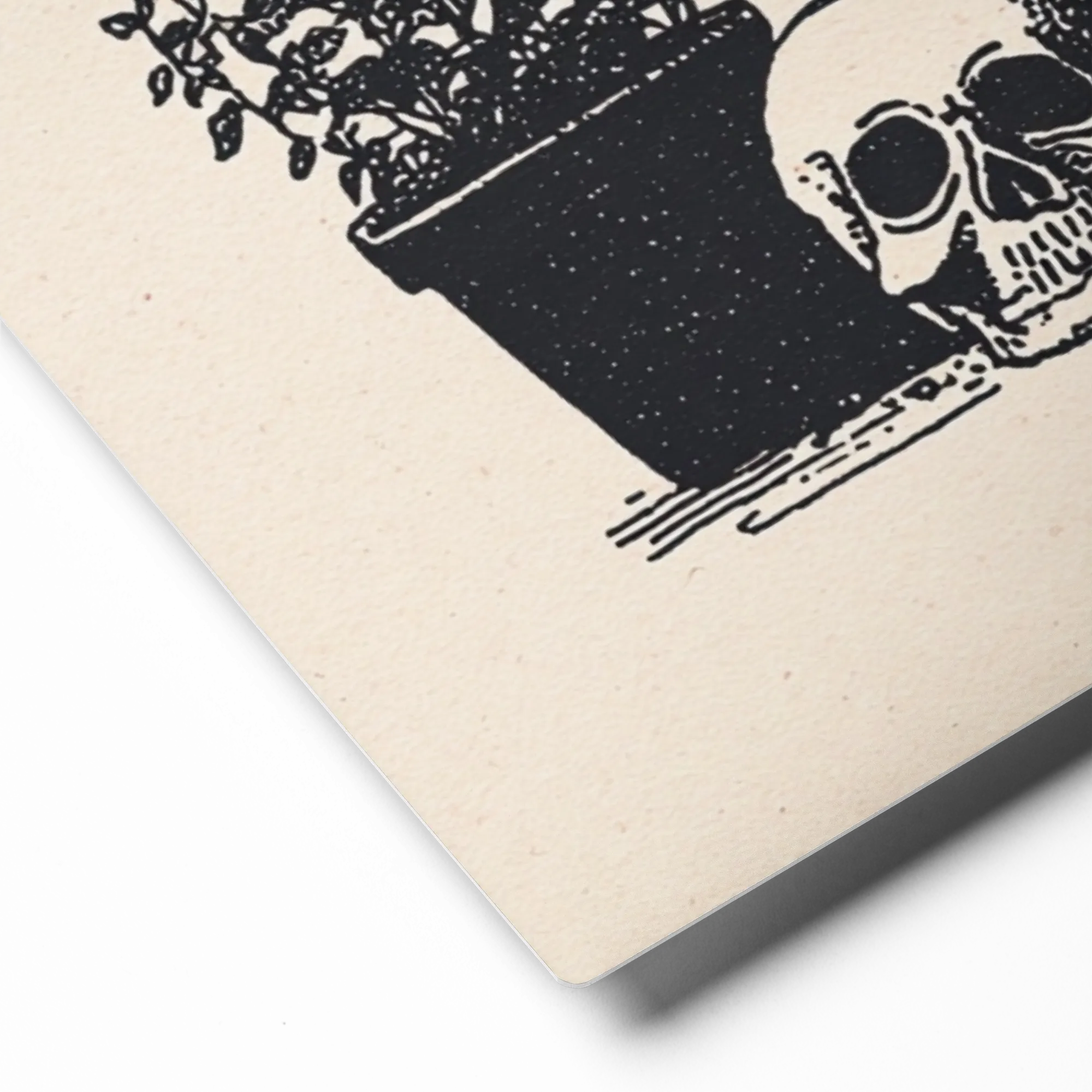 Vanitas Still Life | Art Print