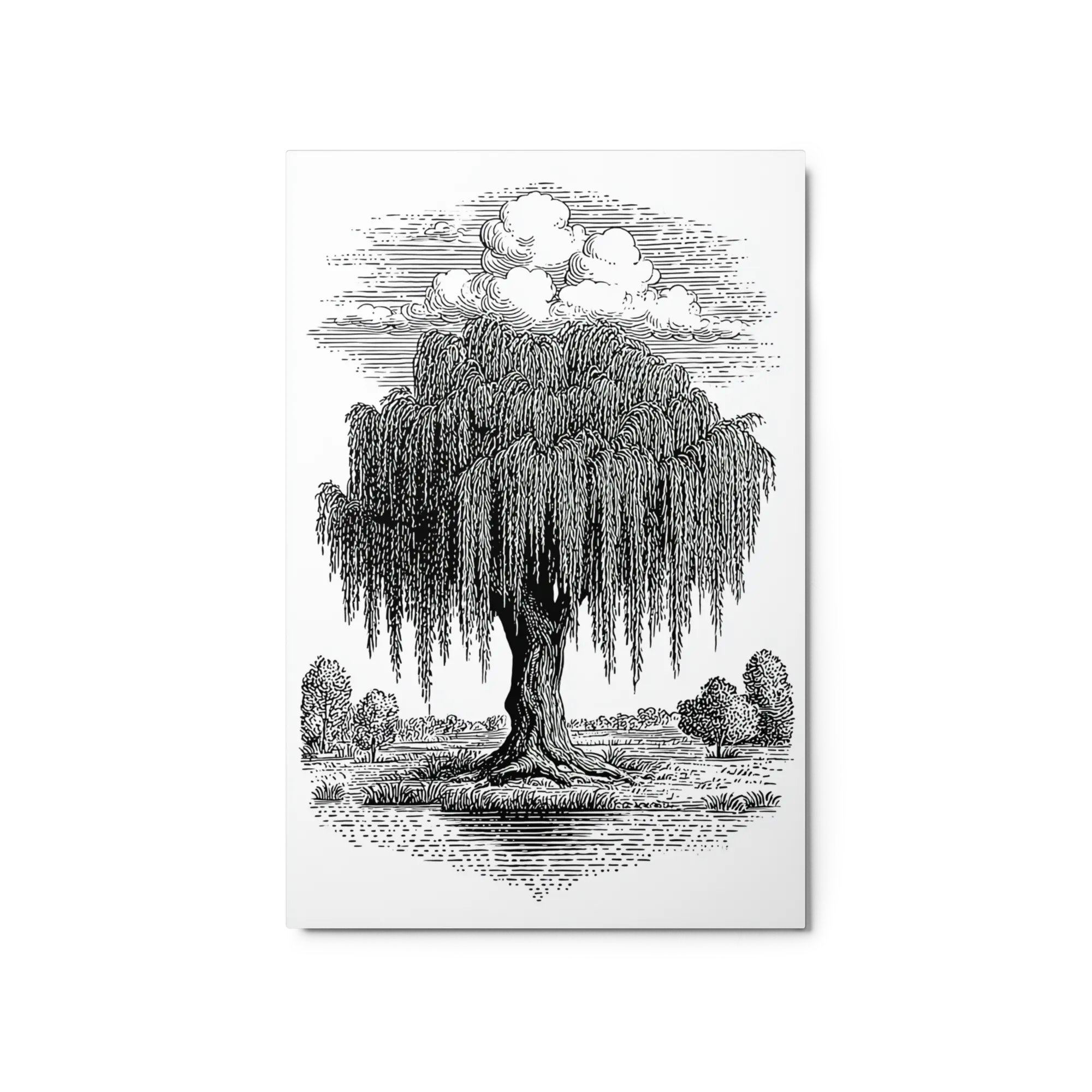 The Whispering Willow