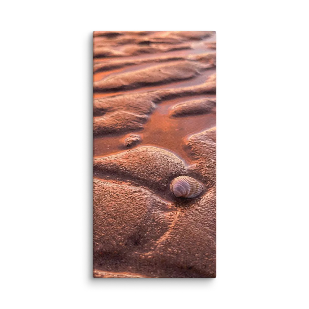 Golden Hour Shell 
 Canvas | 16″x 32″