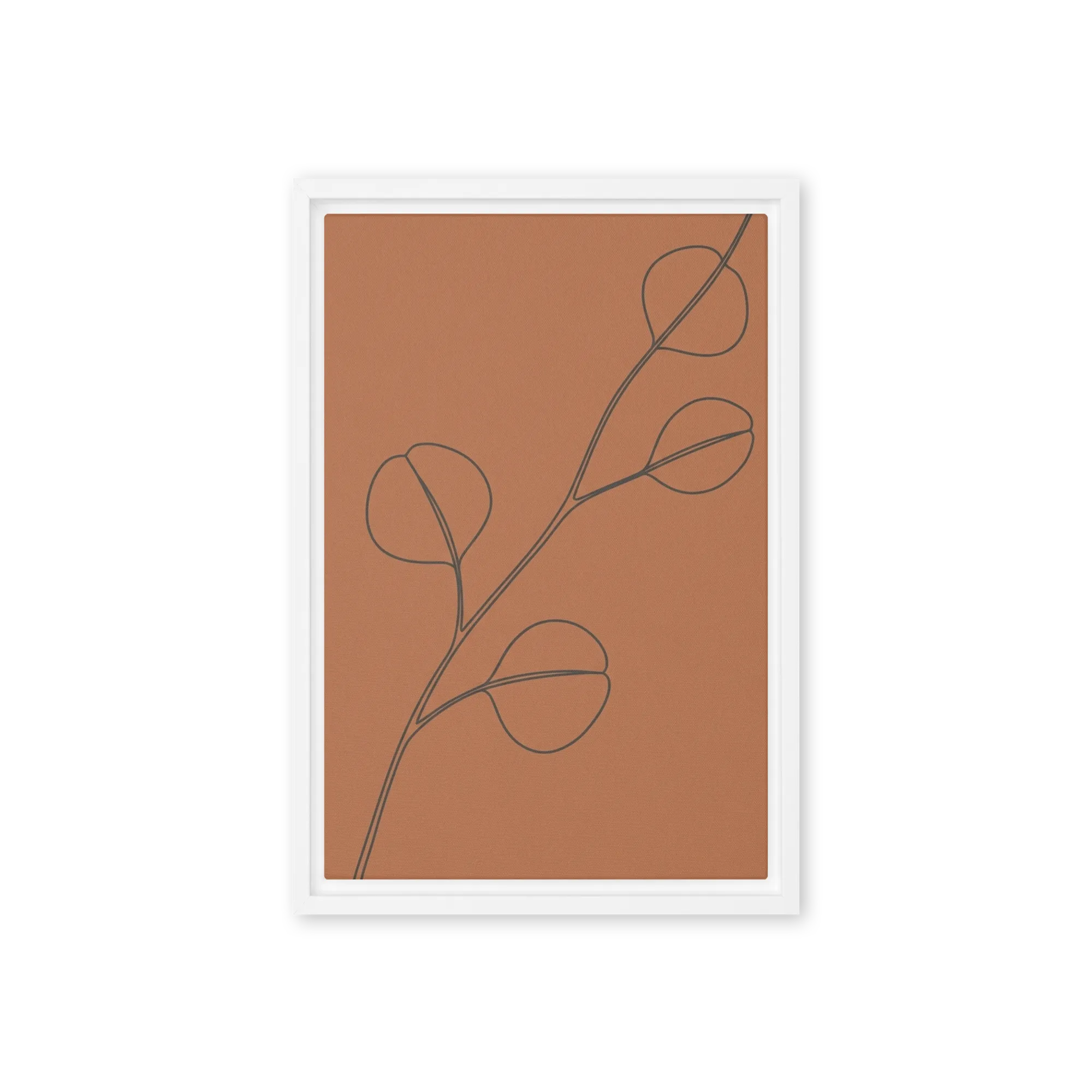 Terracotta Eucalyptus