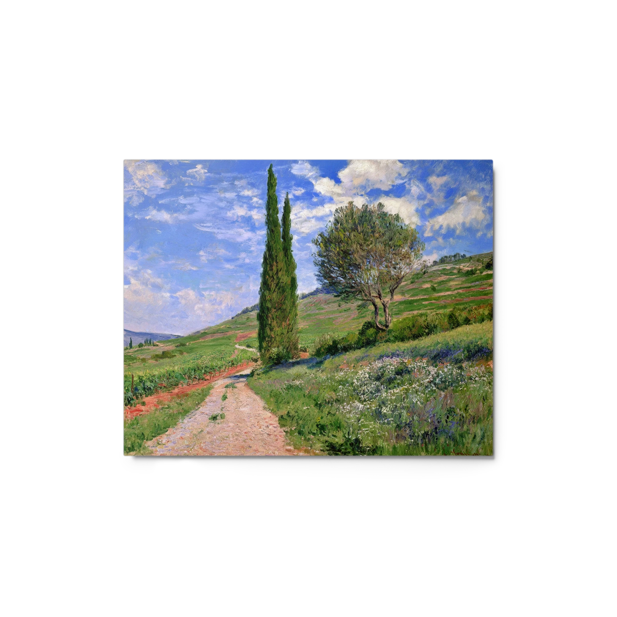 Path Among Cypress Trees