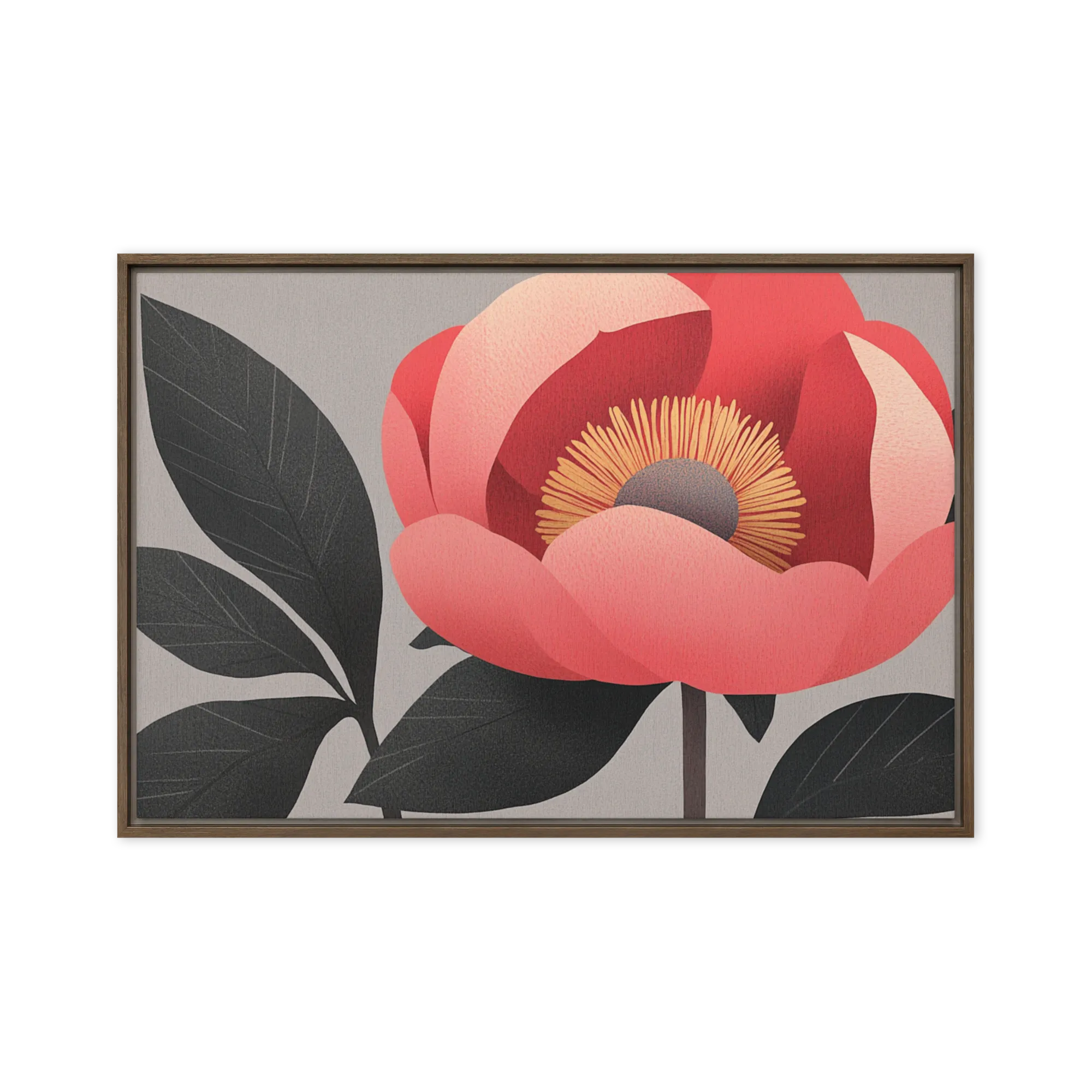 Coral Peony
