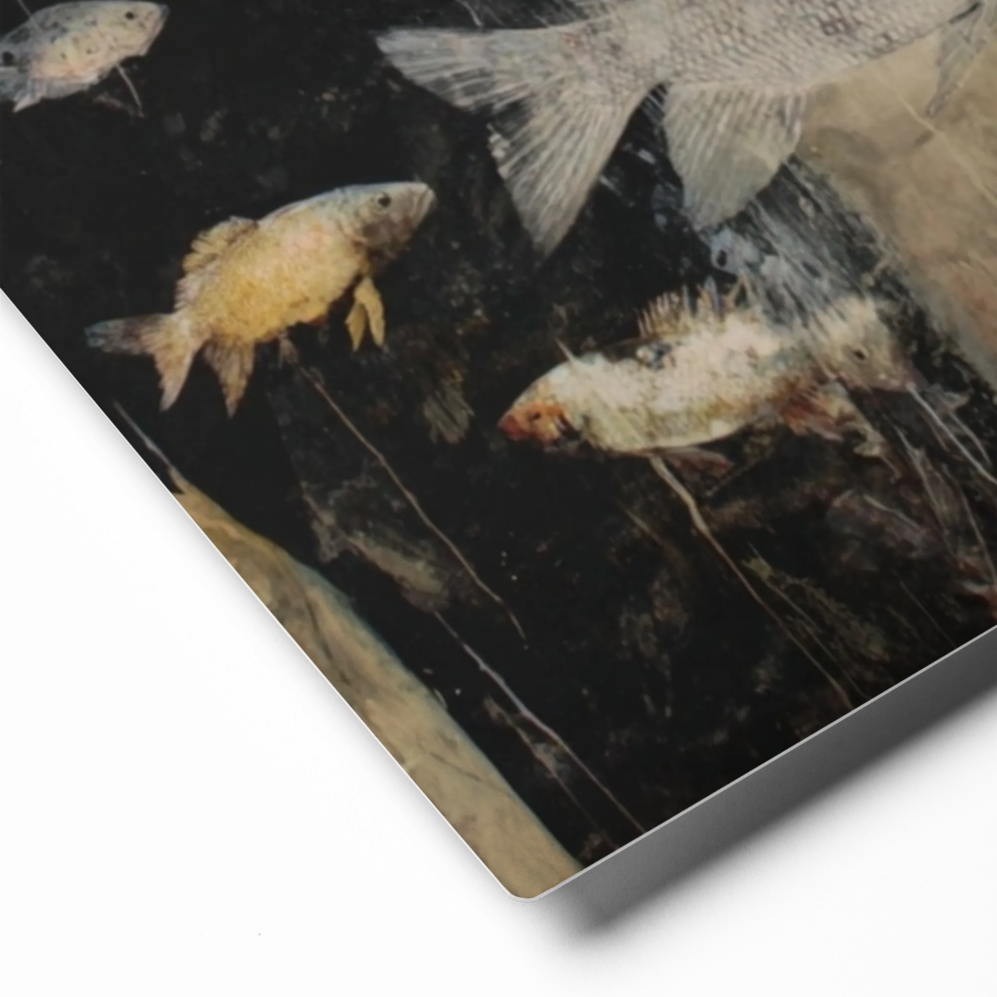 Silent Current | Art Print