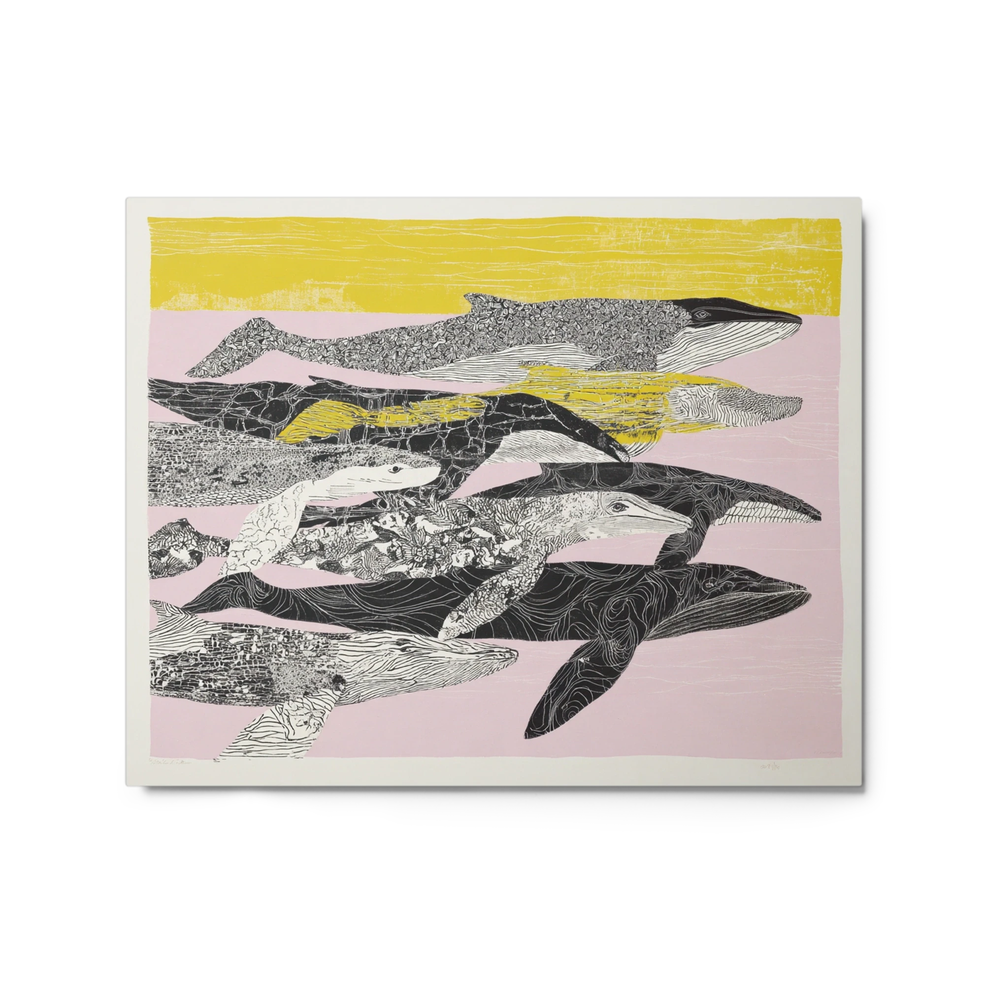 Whales in Pattern
