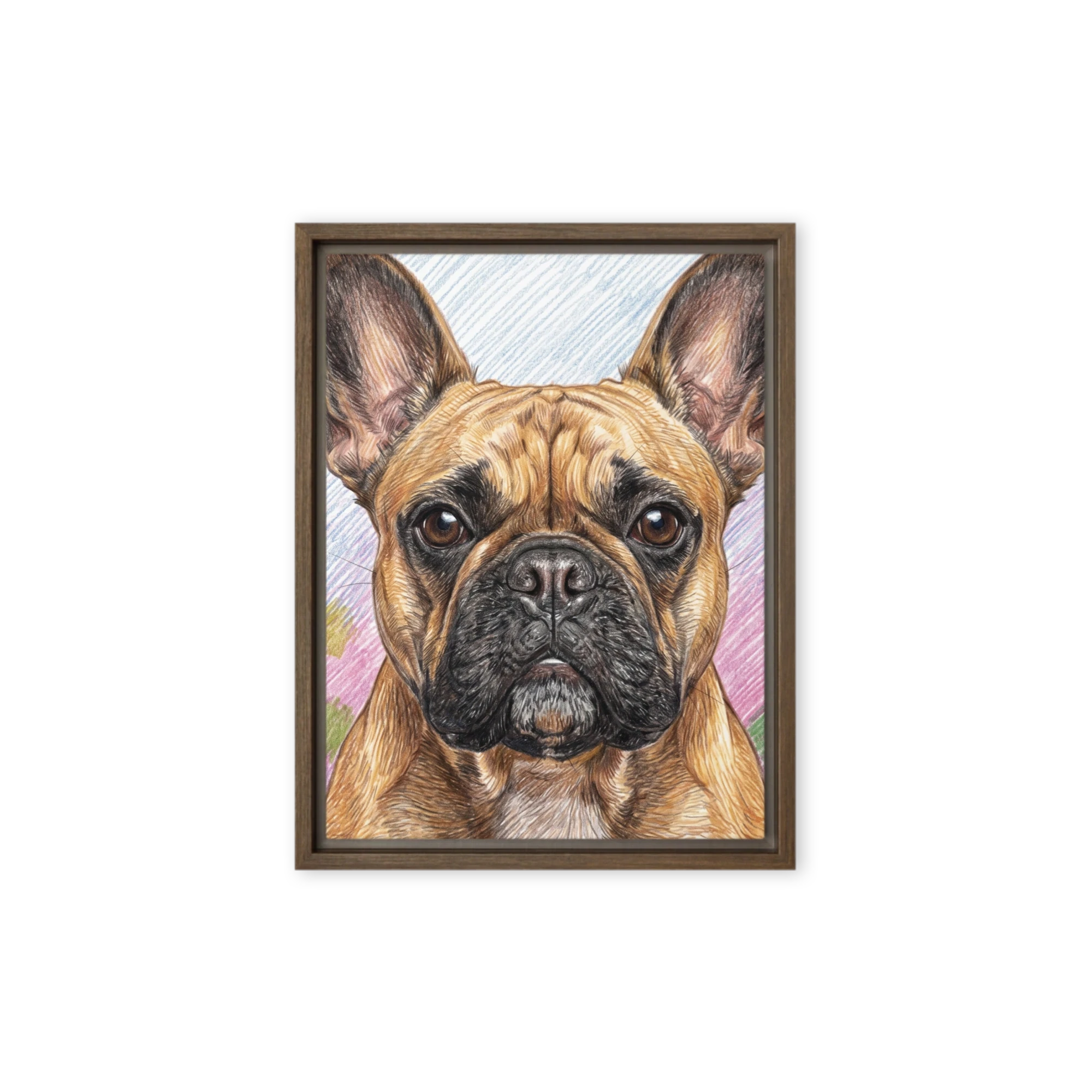Pet Portrait — Colored Pencil