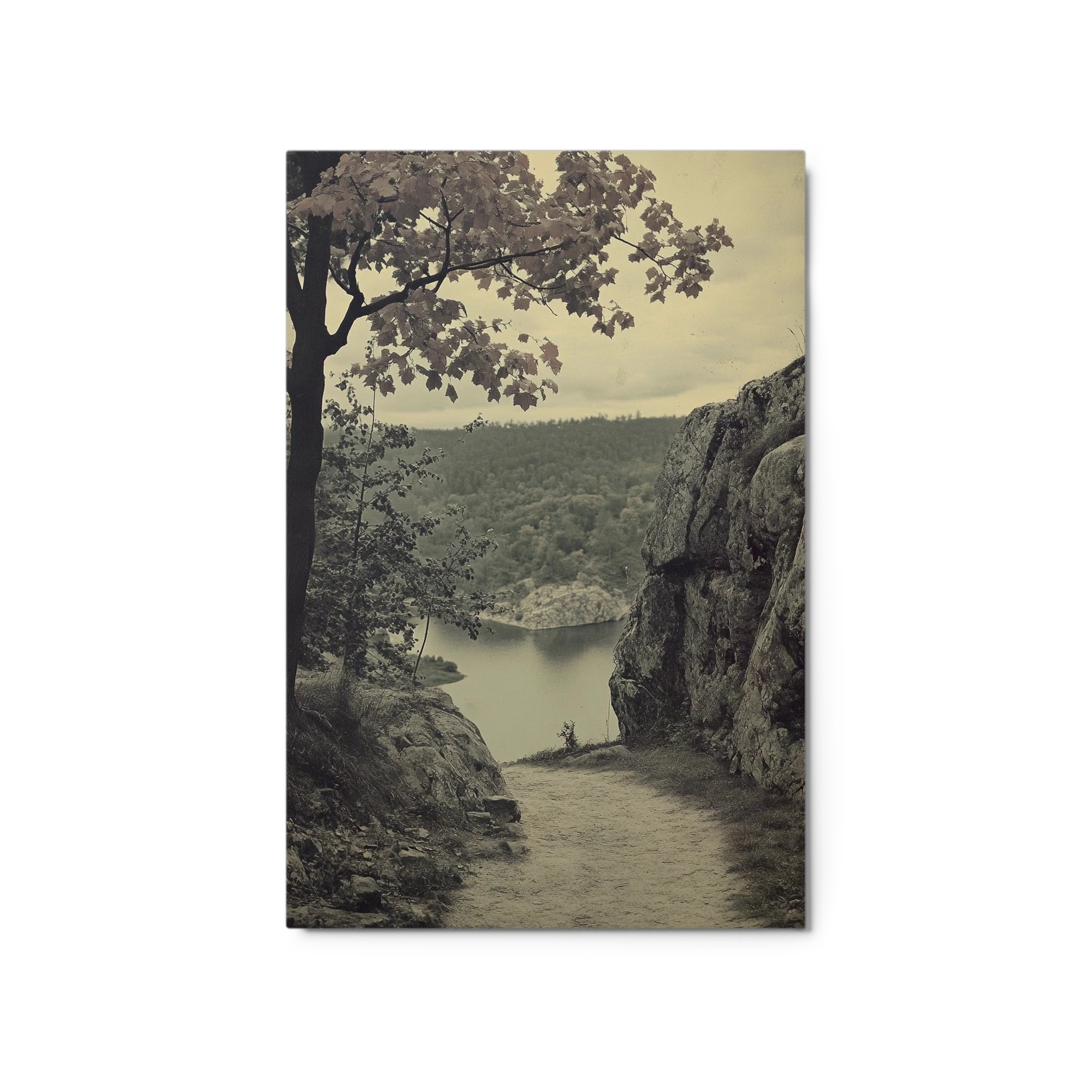 The Sepia Pathway