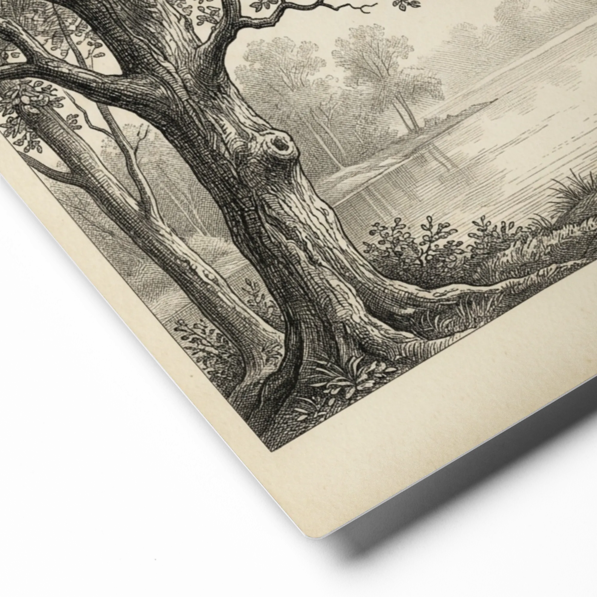 The Lakeside Forest 
 Poster with Black Frame | 8″x 10″