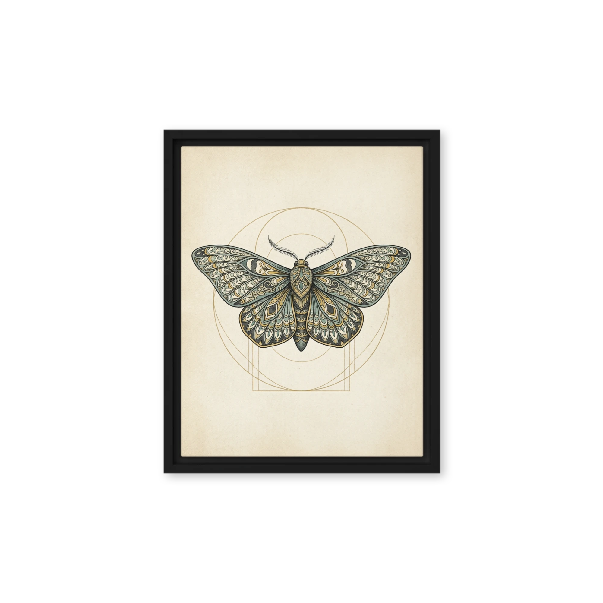 Symmetrical Art Nouveau Moth