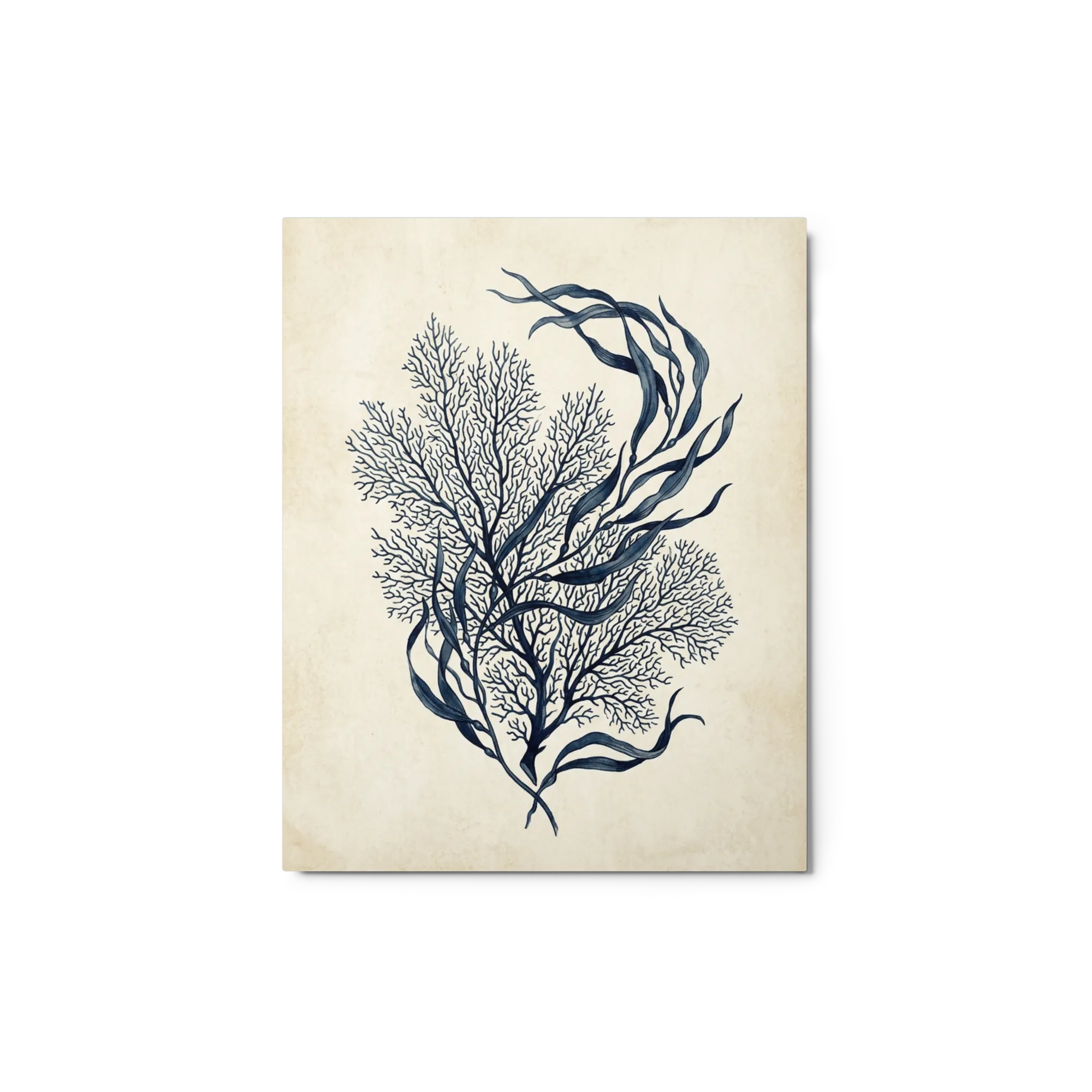Oceanic Whispers