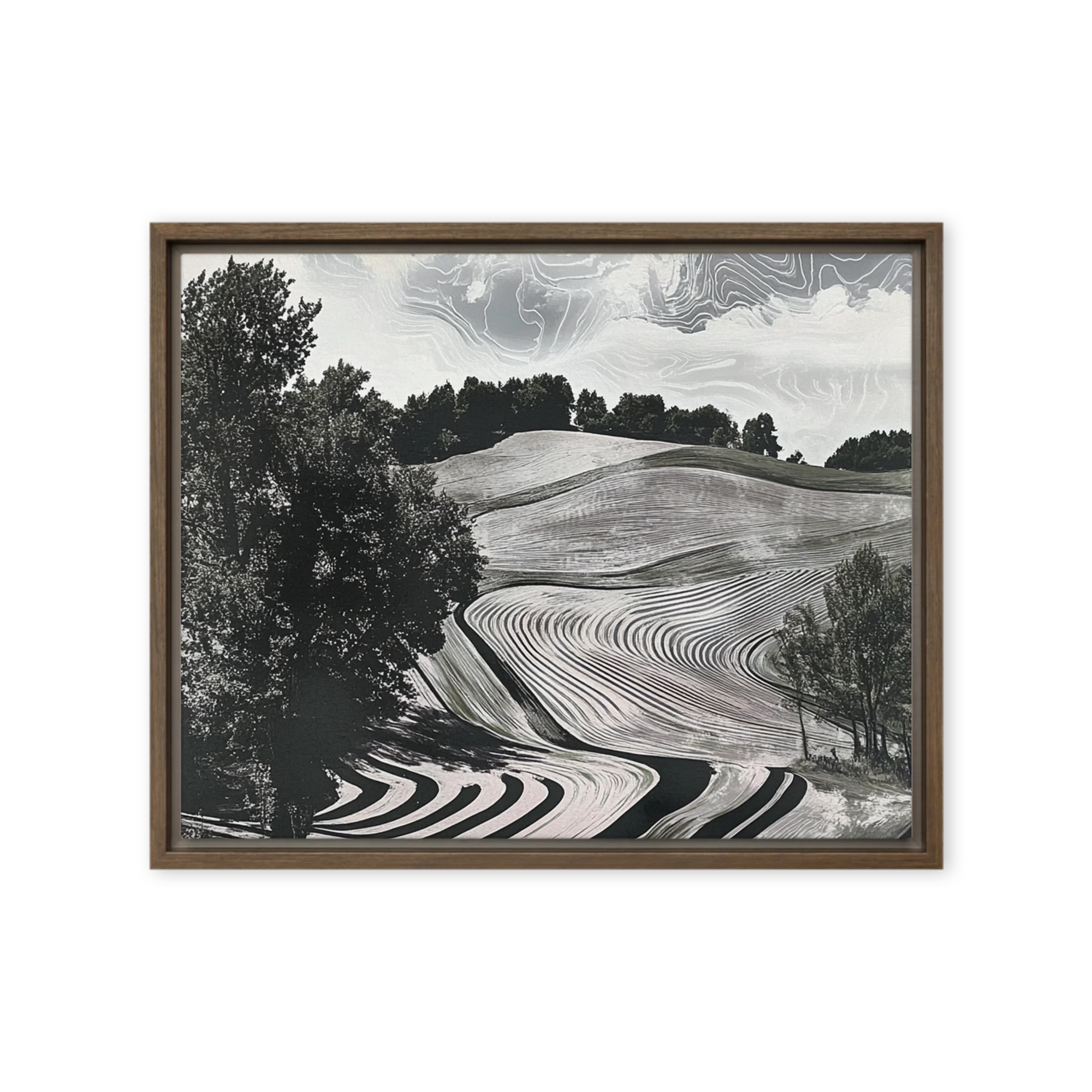 Surreal Black and White Landscape