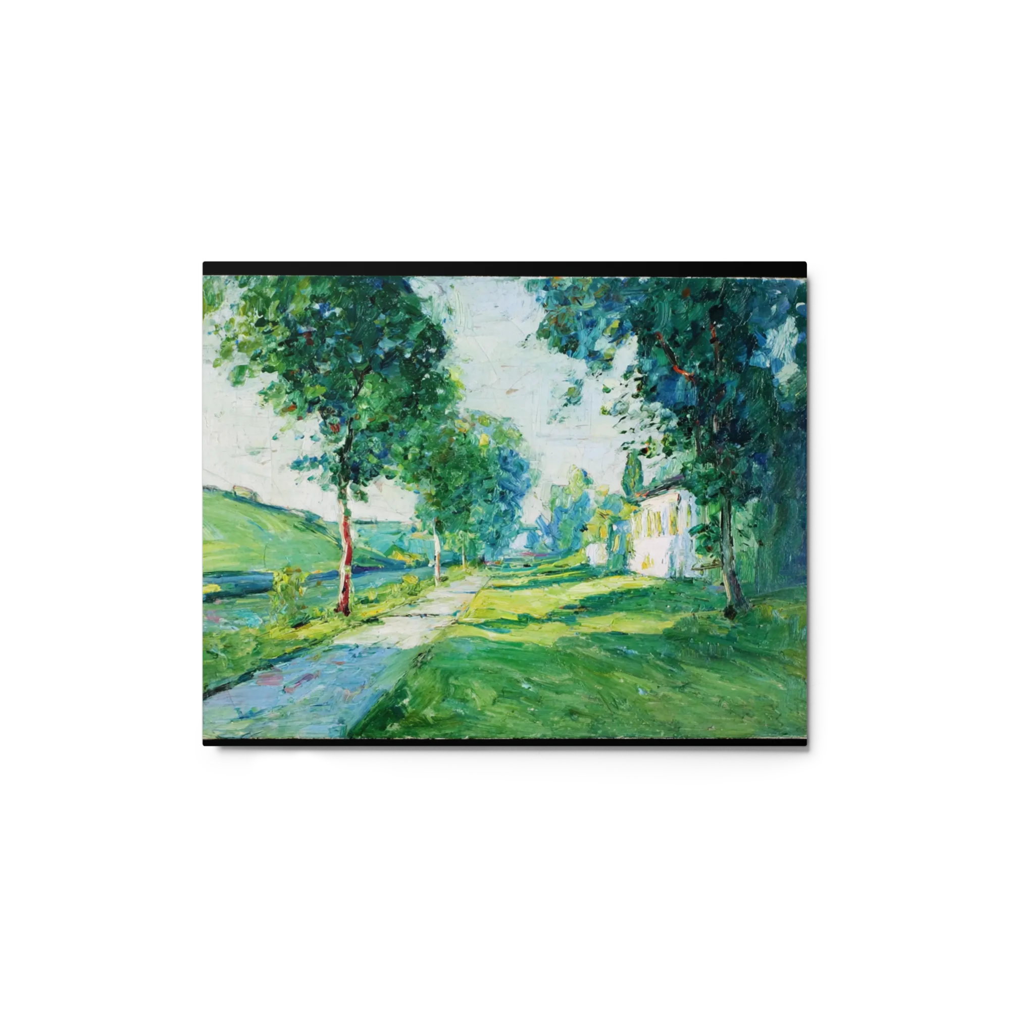 The Sunlit Avenue