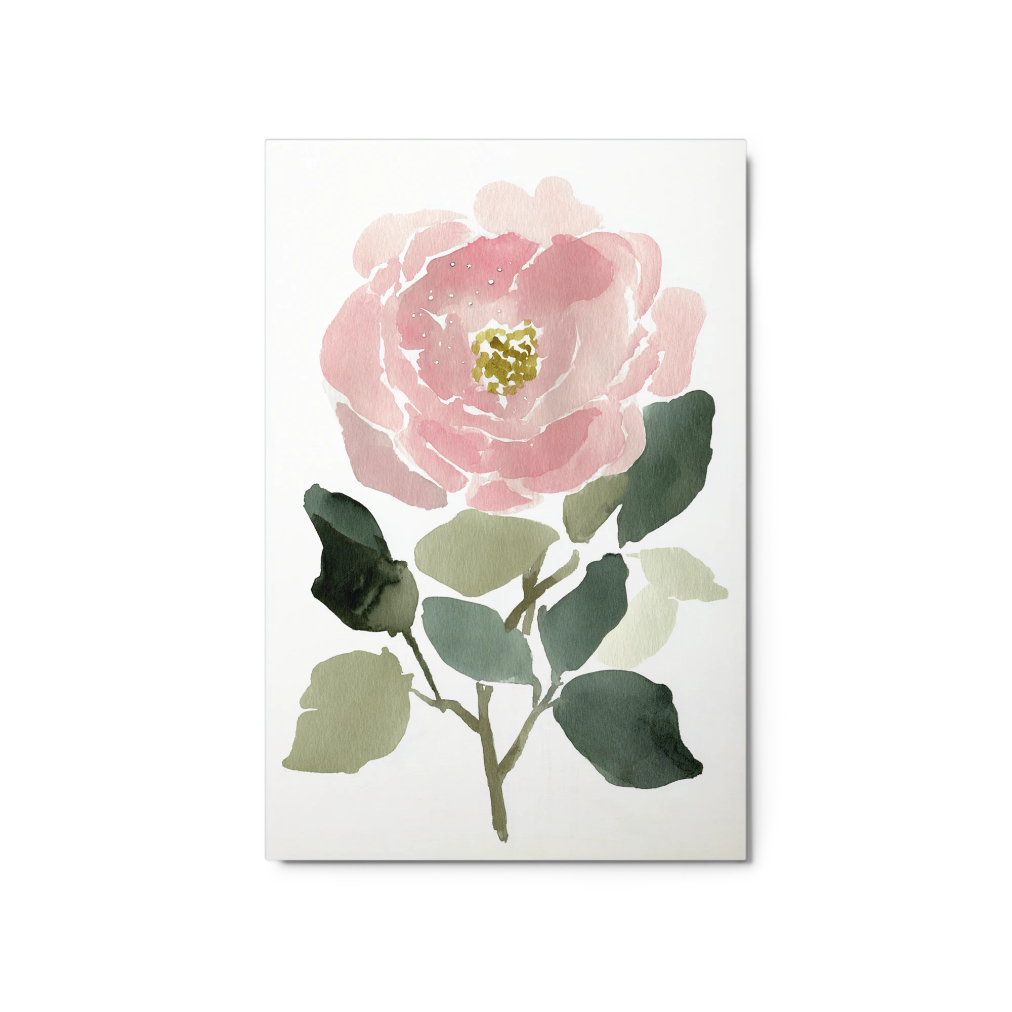 Soft Pink Peony
