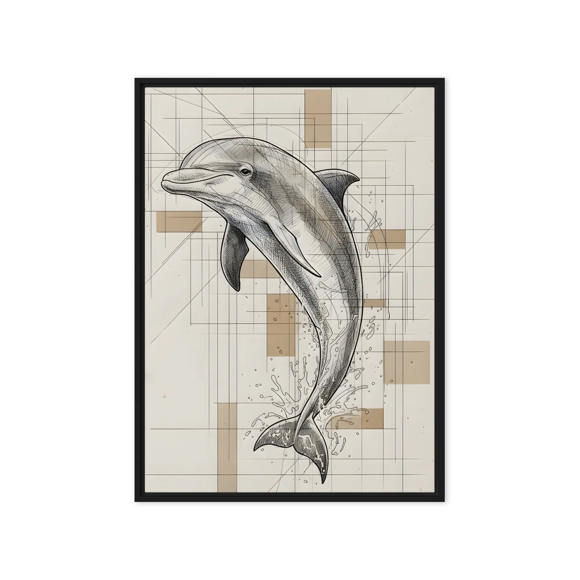 Dolphin Study