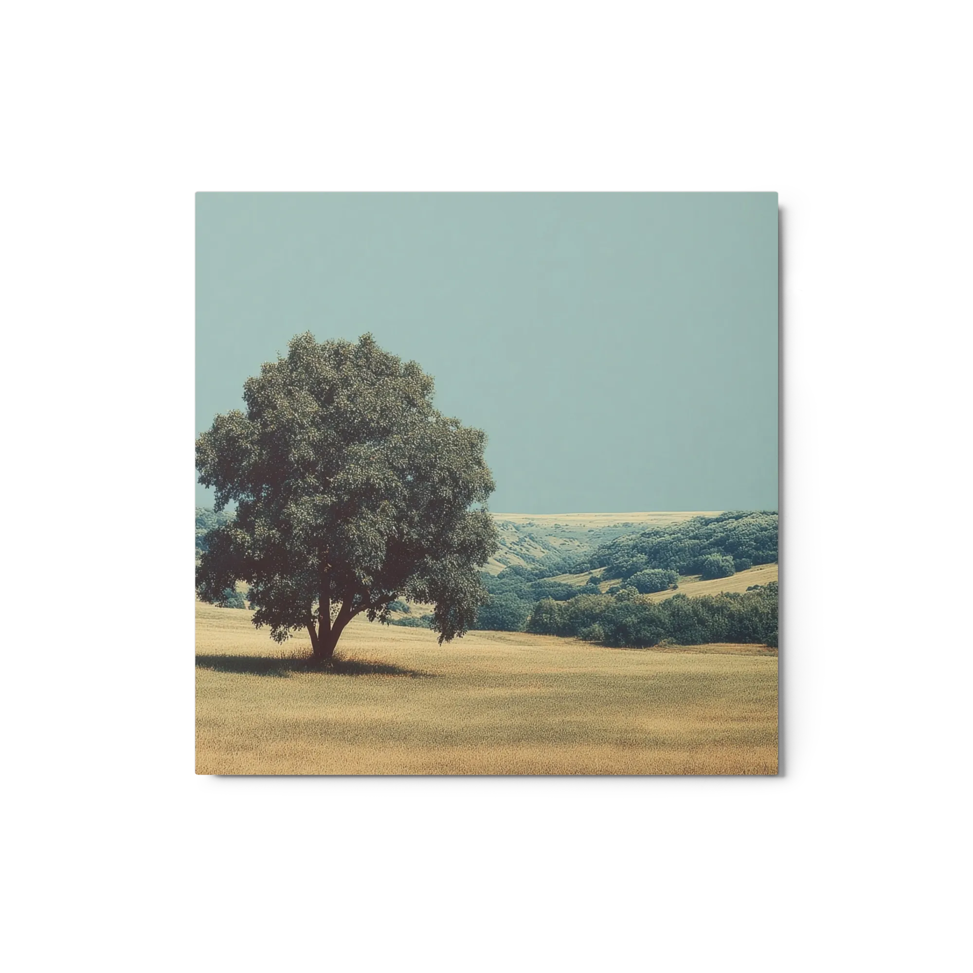 Solitary Tree in Golden Field