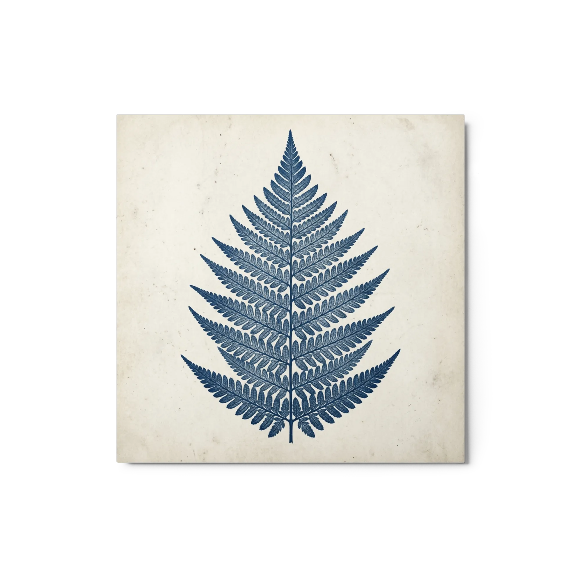 Indigo Fern Study