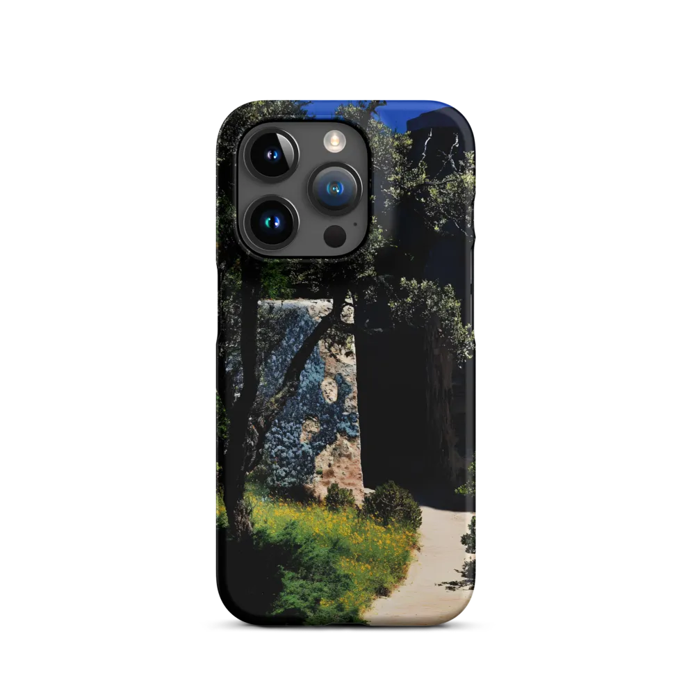 Shadows on Stone Ruin | Phone Case