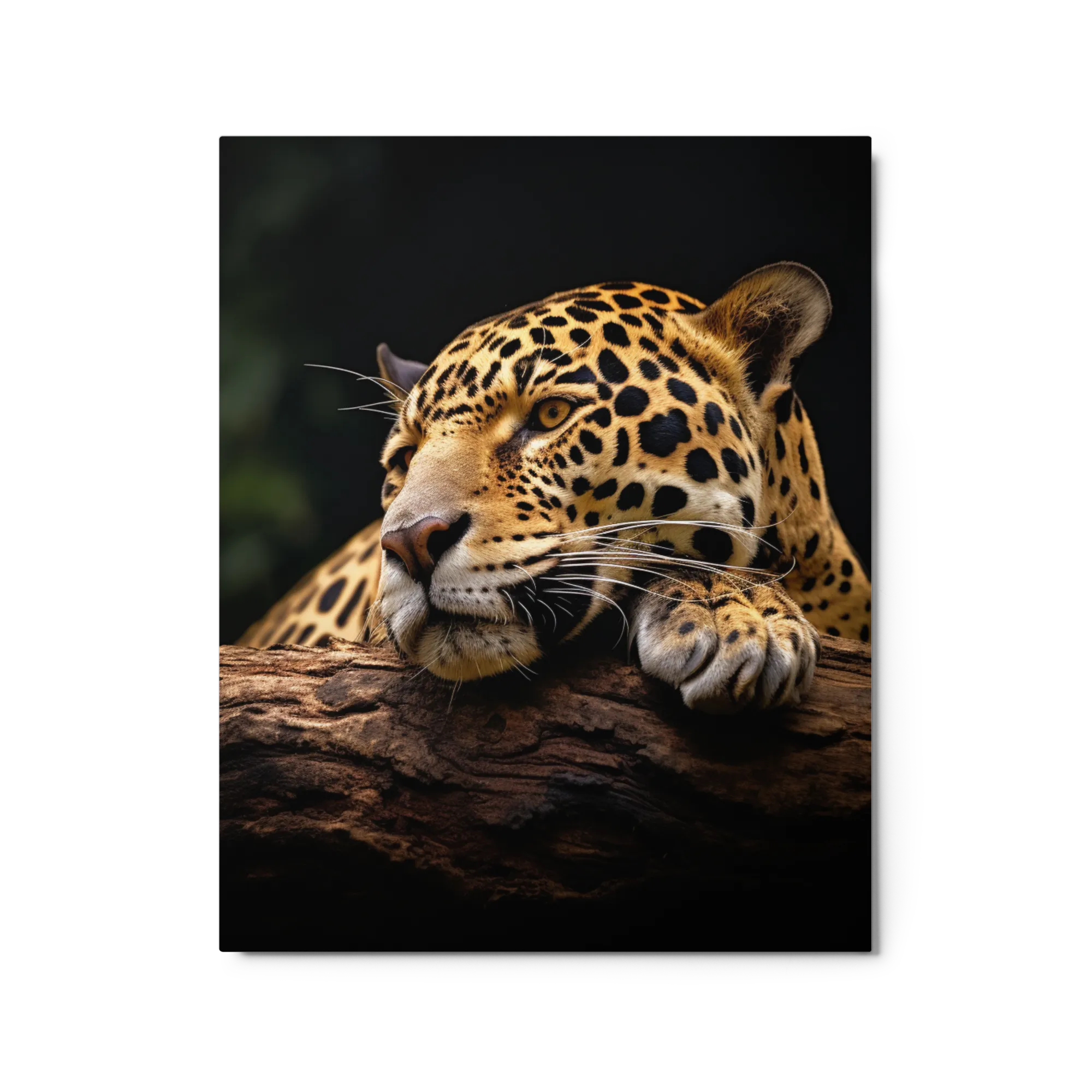 Leopard Resting on a Log