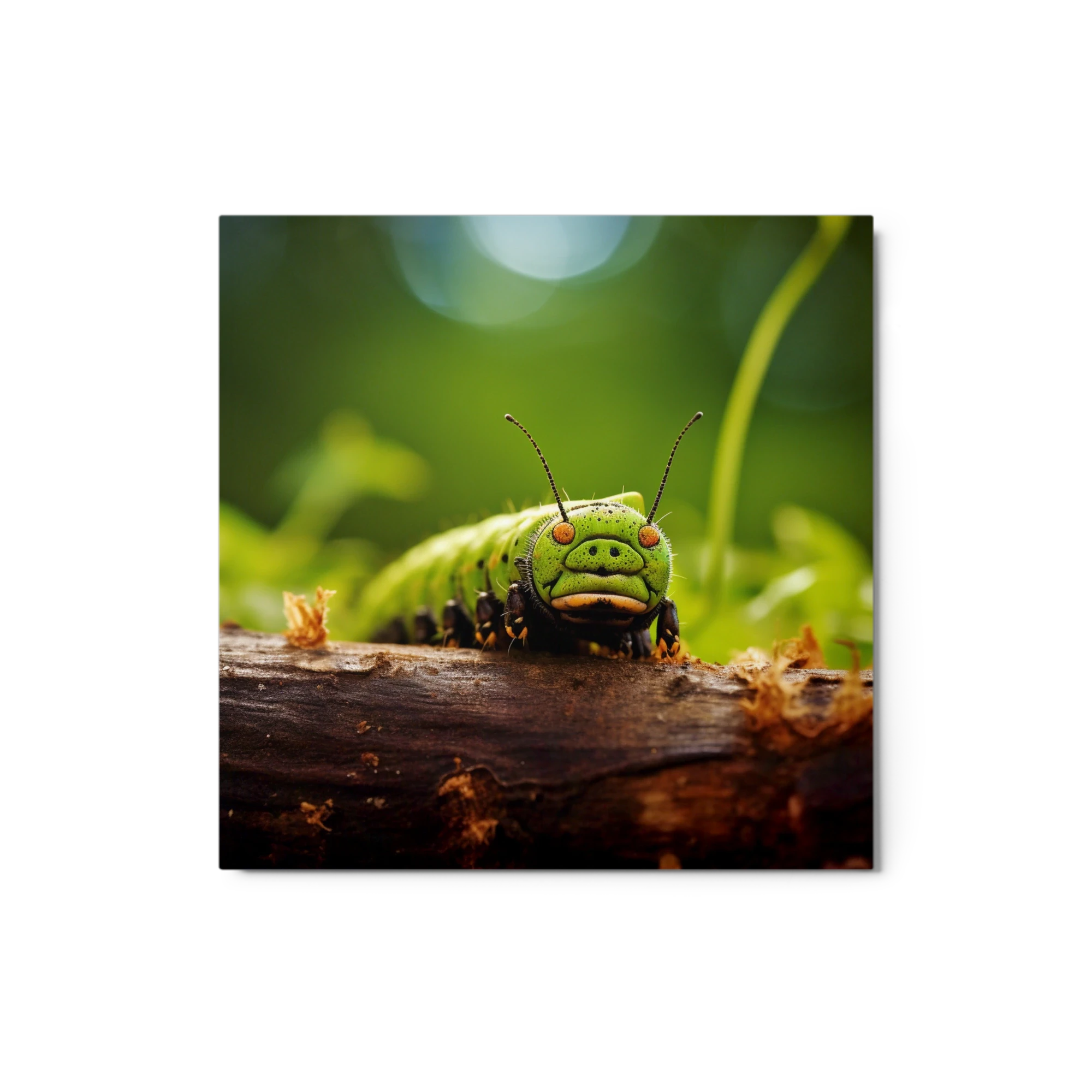 Green Caterpillar on Wood Log
