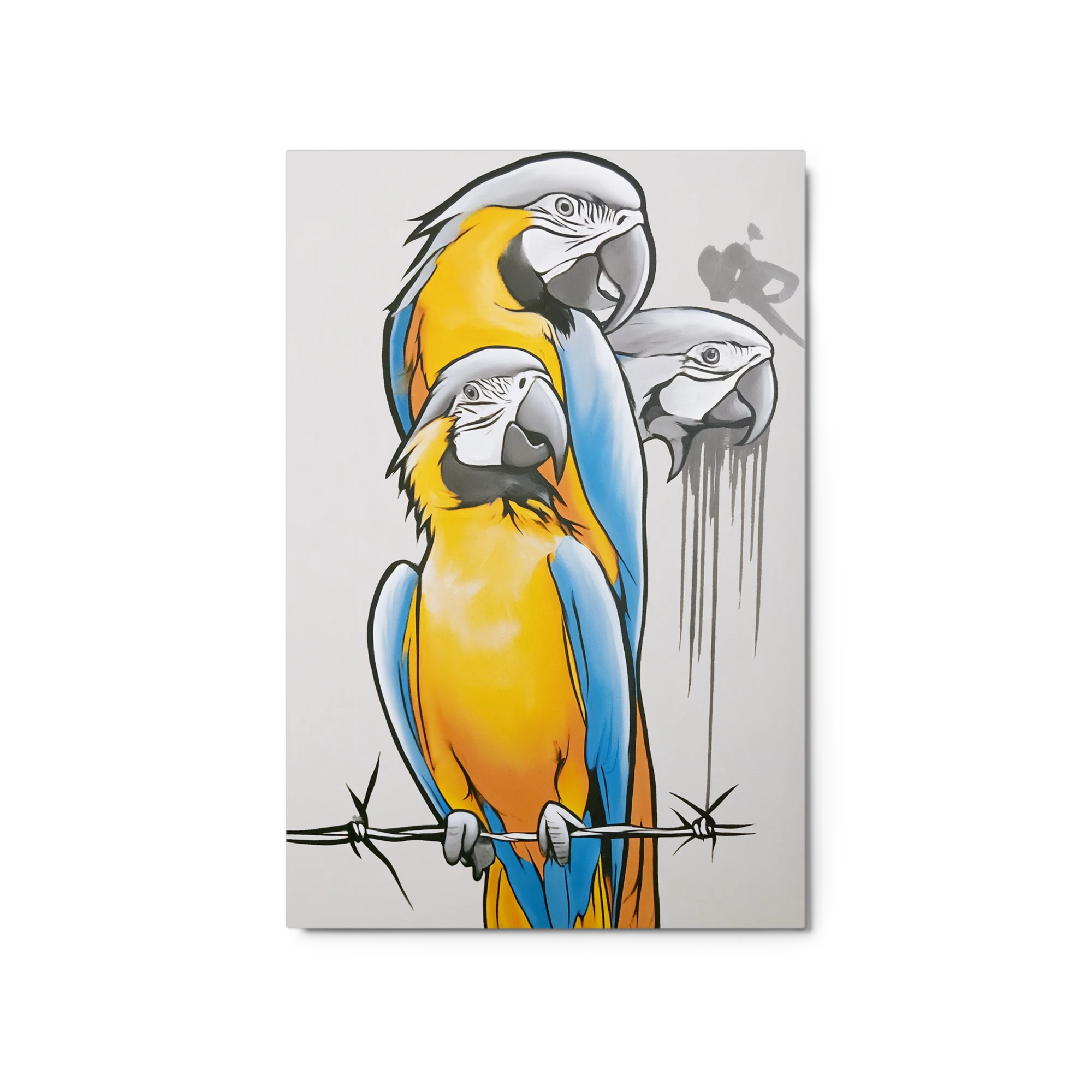 Perched Macaws