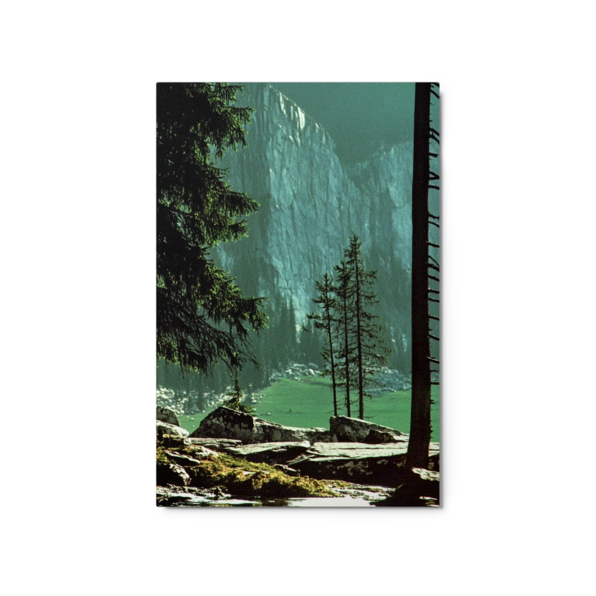 Mountain Landscape with Trees