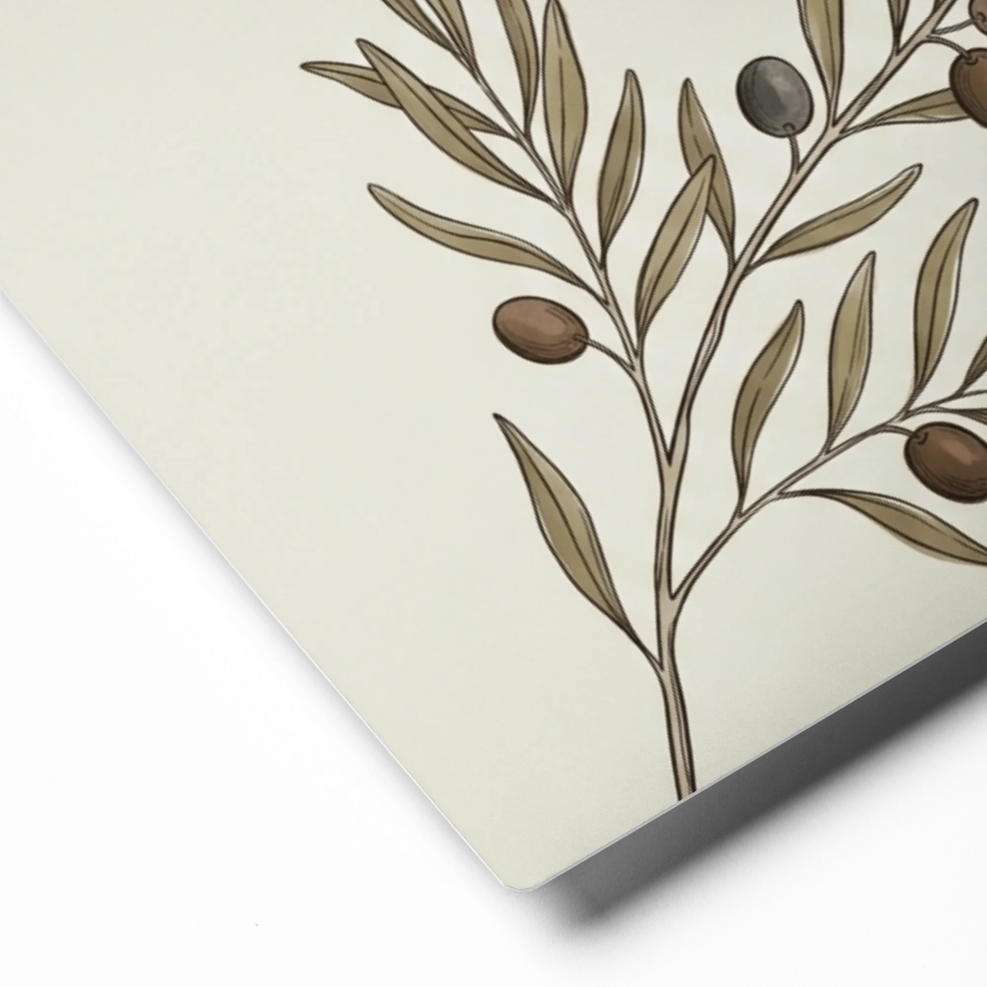 Mediterranean Olive Branch 
 Canvas with White Frame