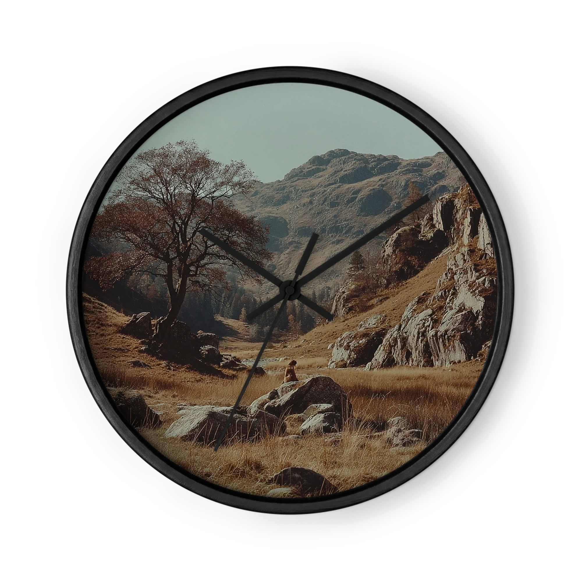 Lone Tree in Mountain Valley