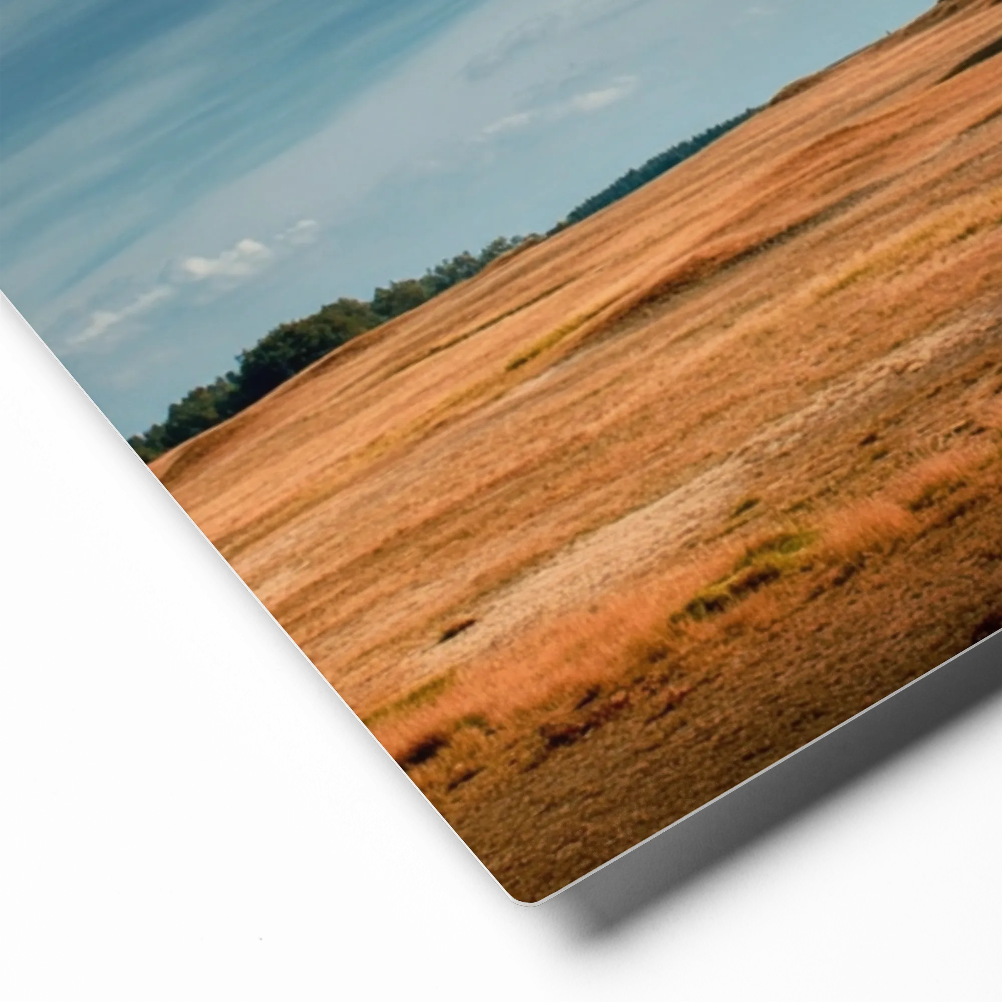 Solitary Horizon 
 Canvas with White Frame