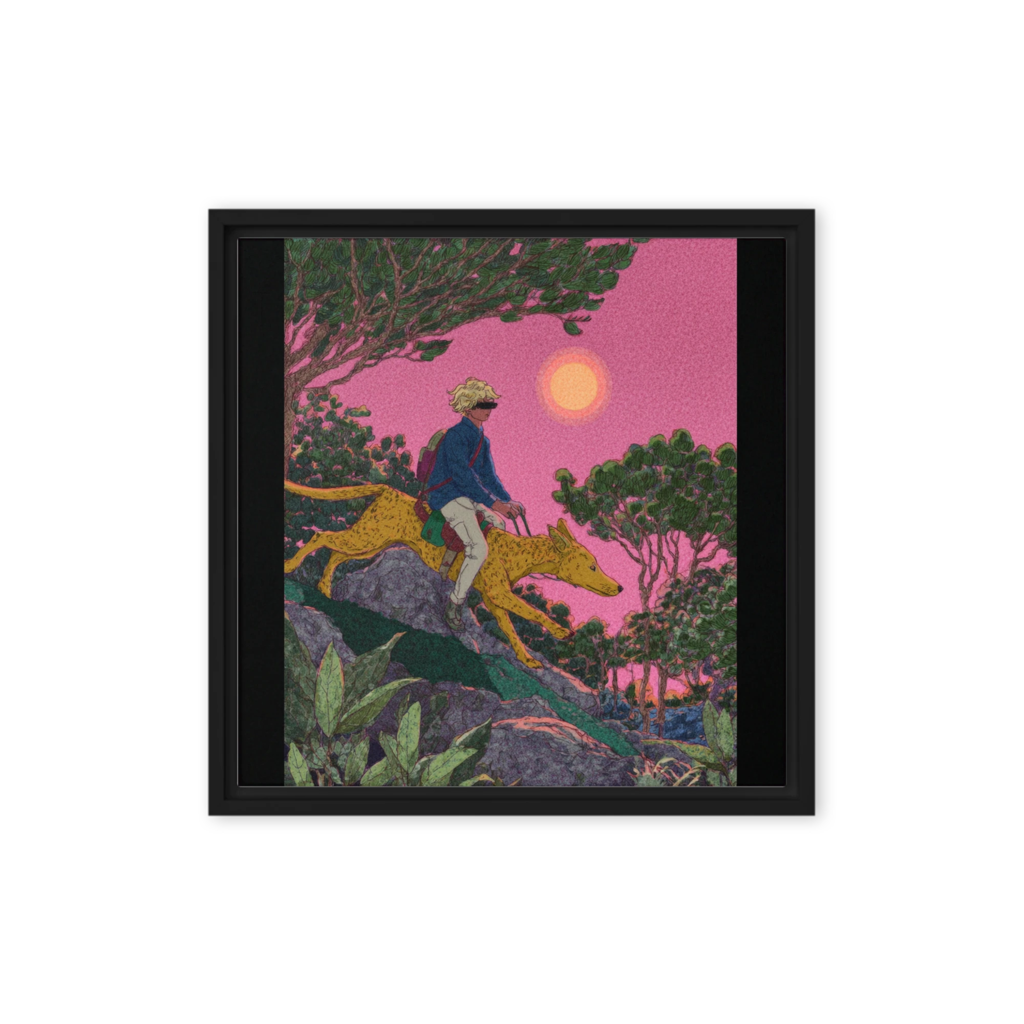 The Pink Sky Companion