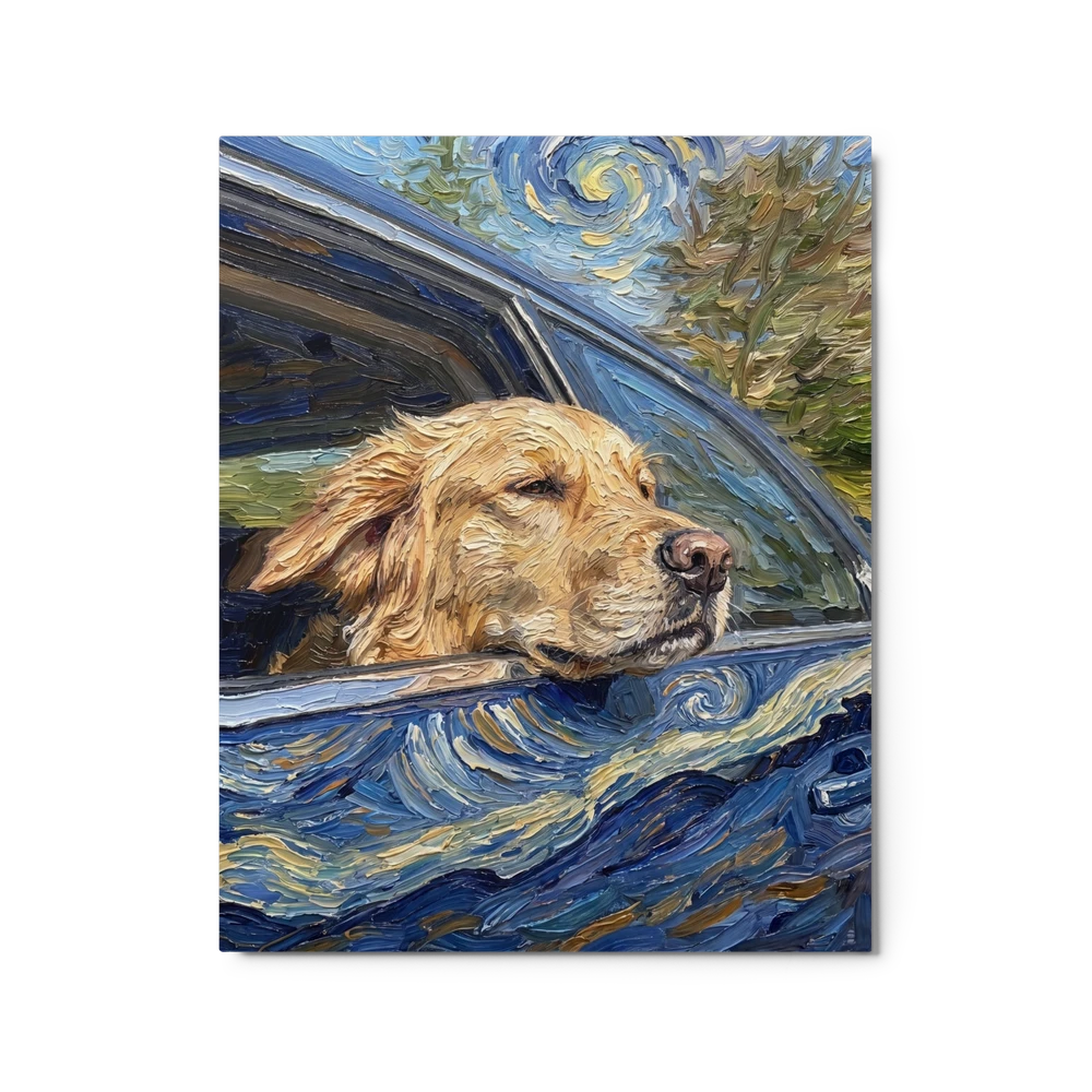 Pet Portrait — Night Reverie