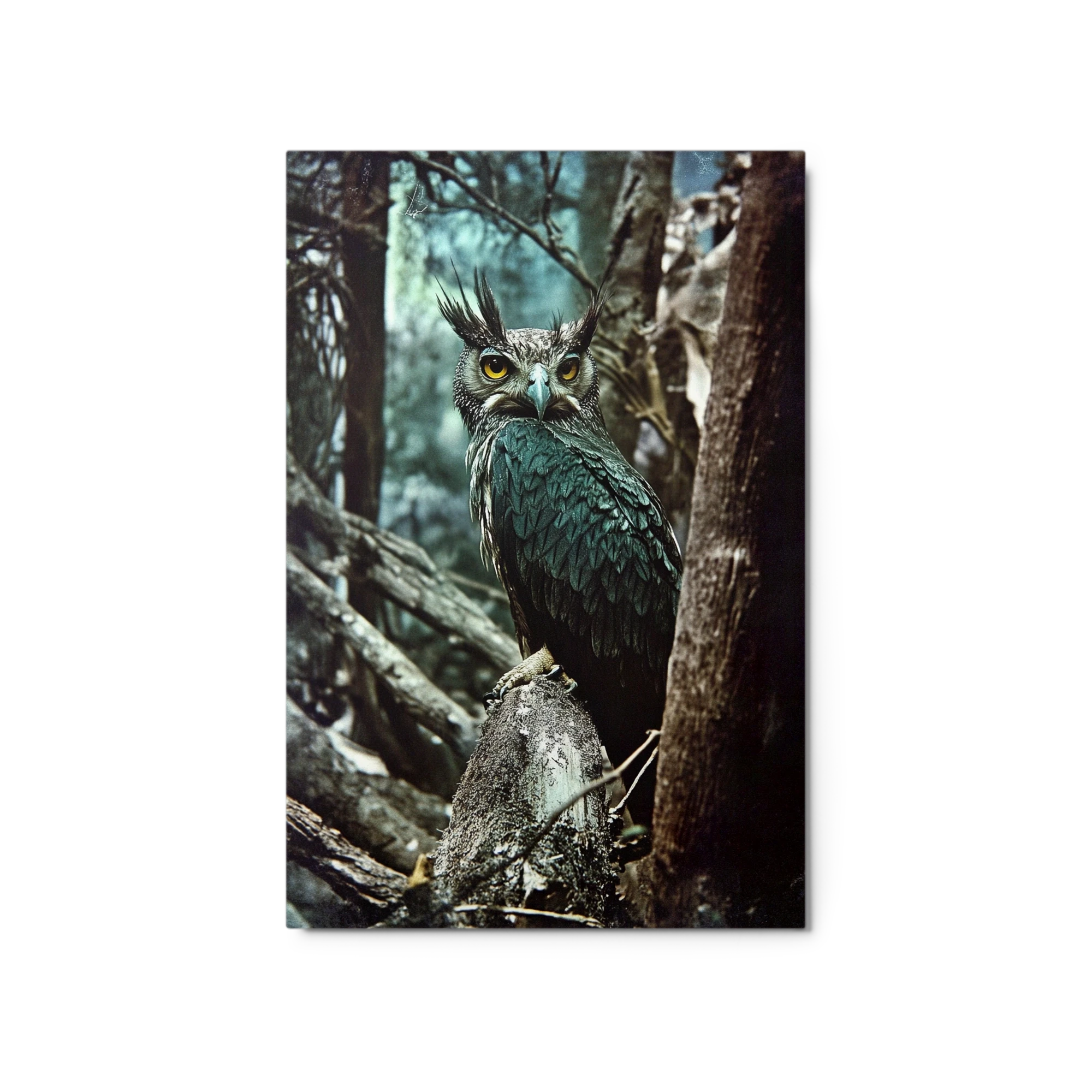 Realistic Owl in Forest