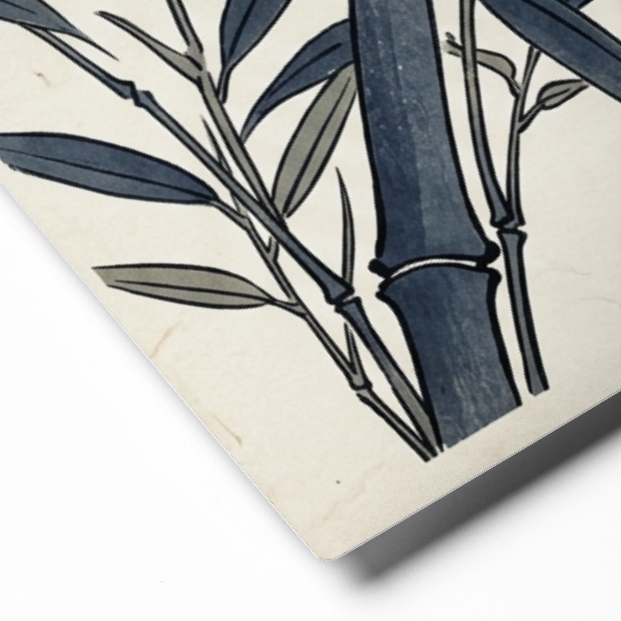 Sparrow on Bamboo | Art Print
