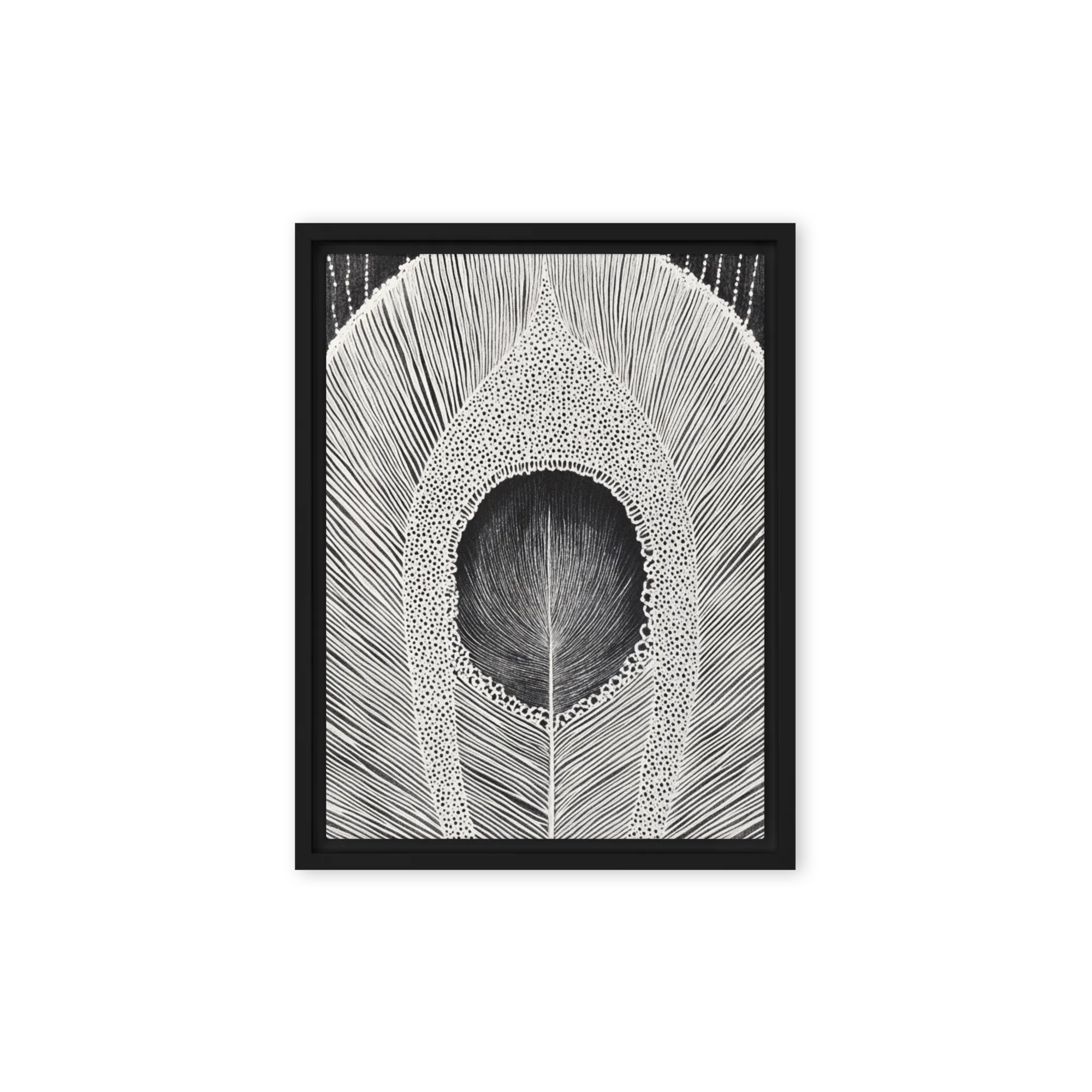 The Peacock's Eye