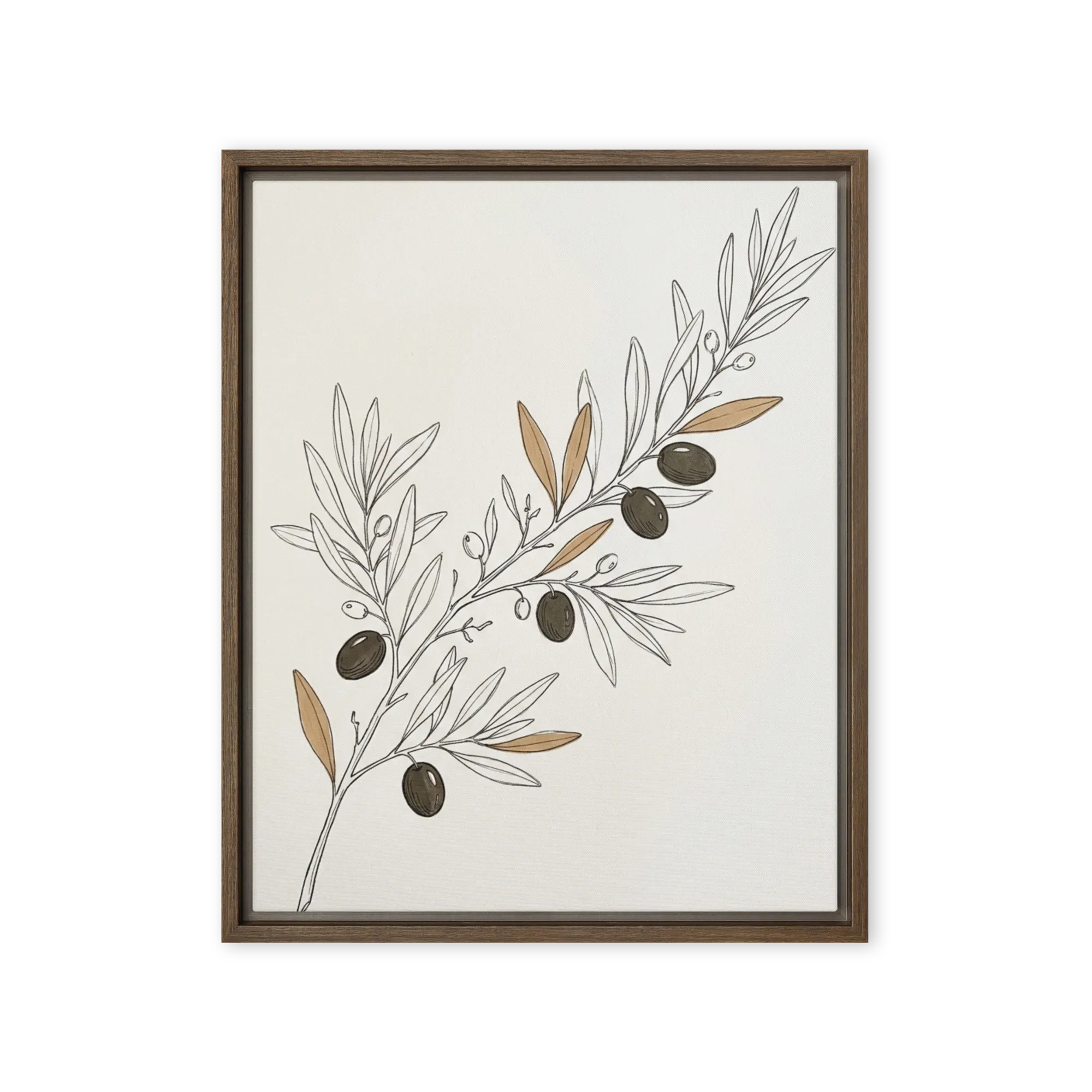 Olive Branch