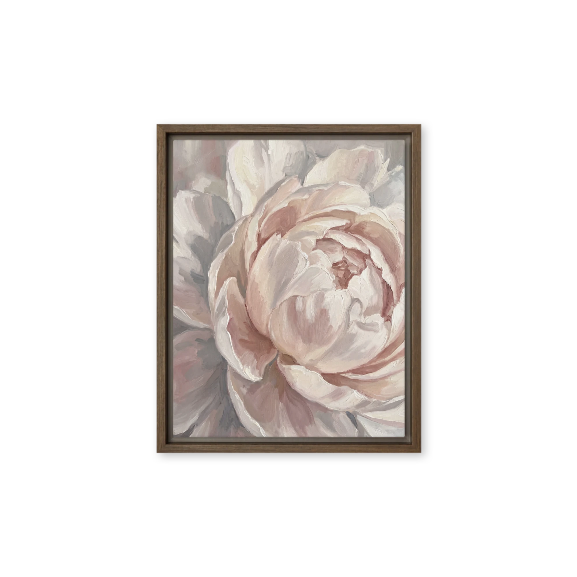 Blushing Peony Bloom