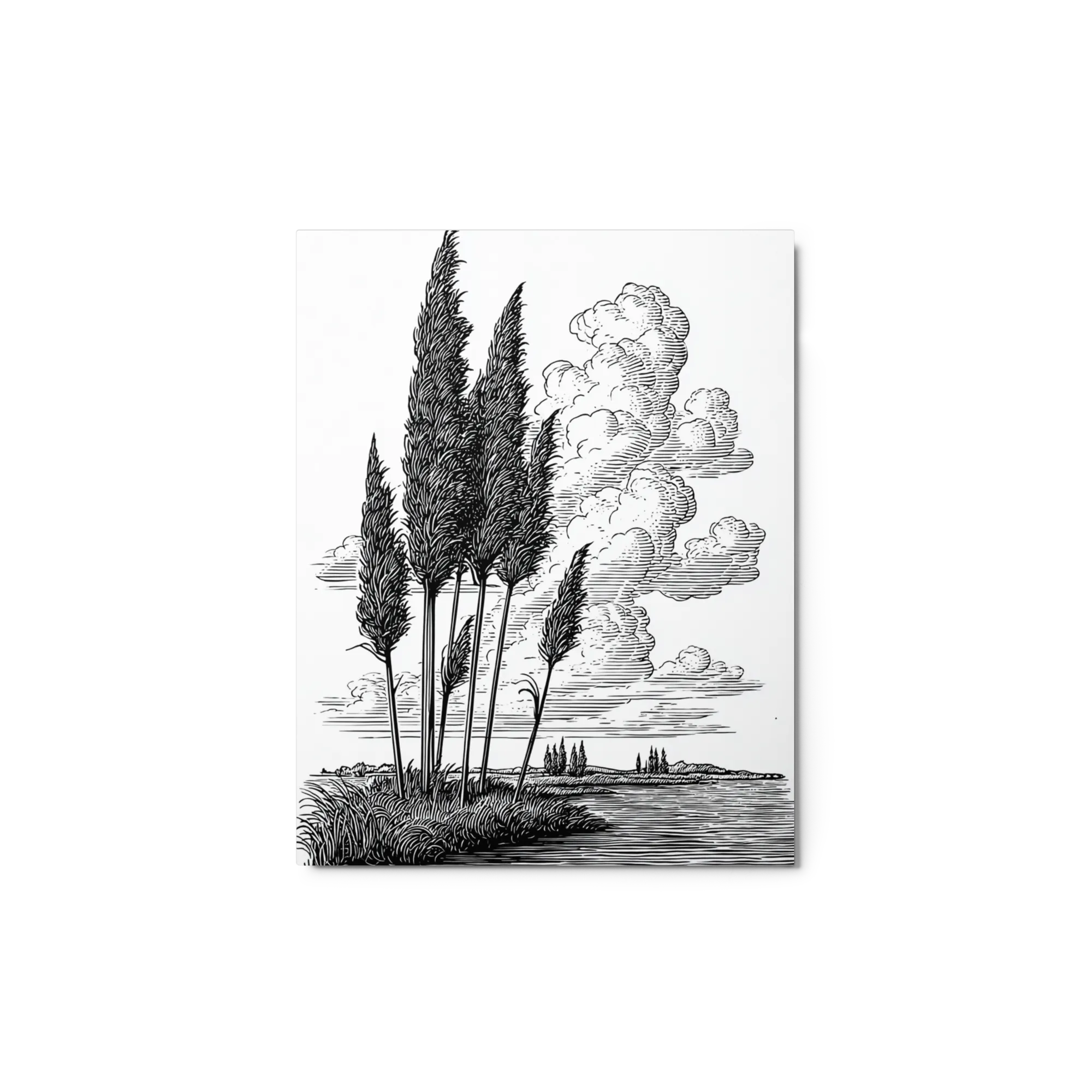 Riverside Reeds