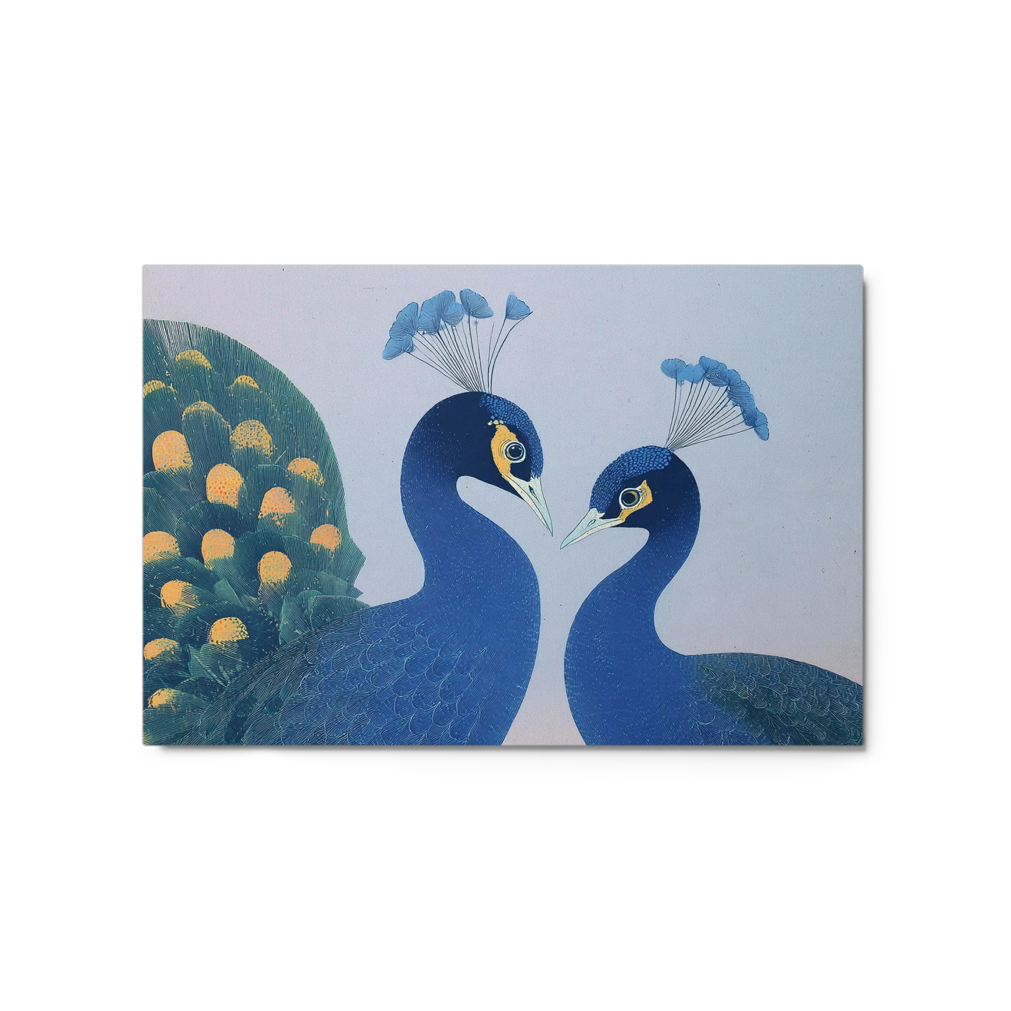 Peacock Harmony