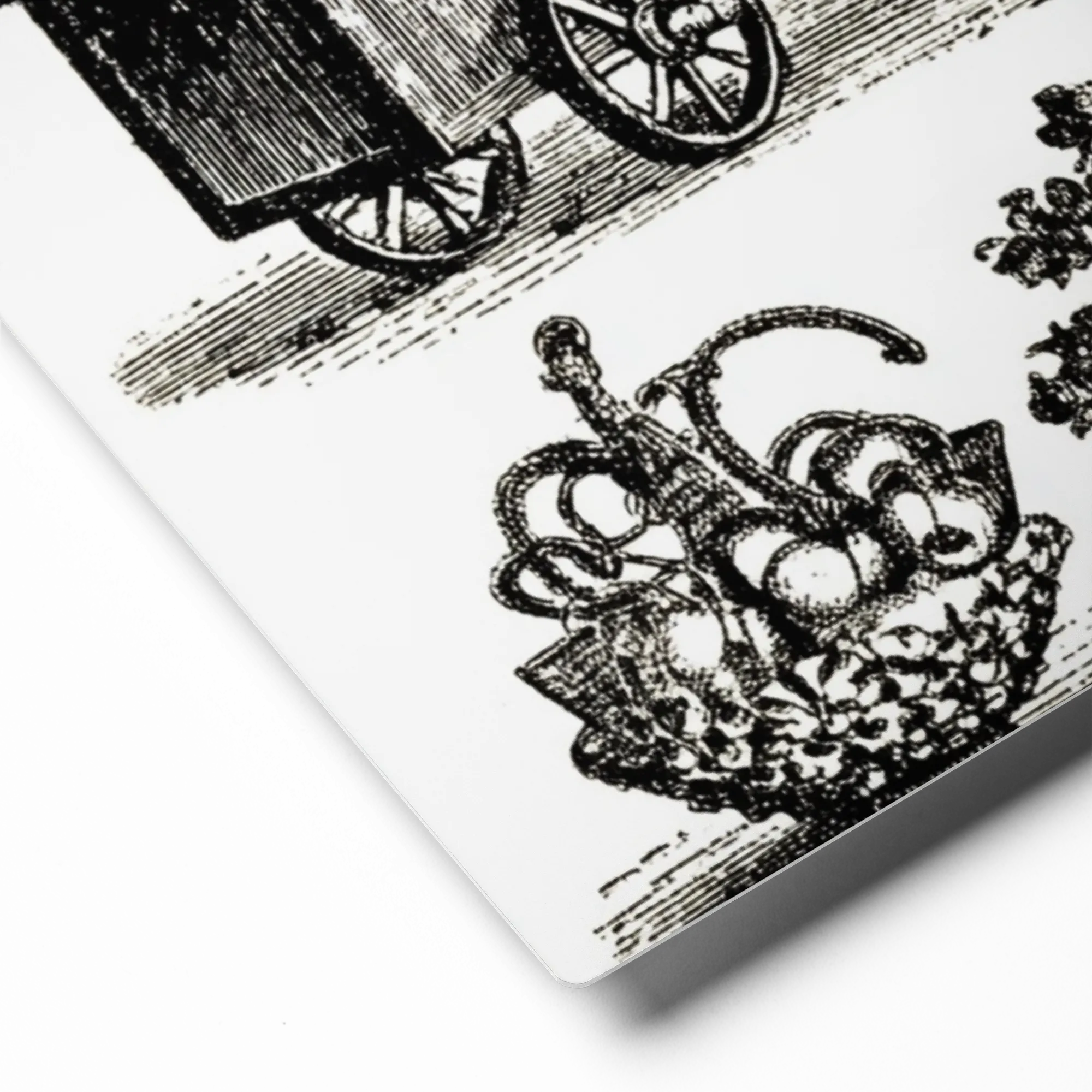 Cabinet of Curiosities 
 Canvas with Black Frame