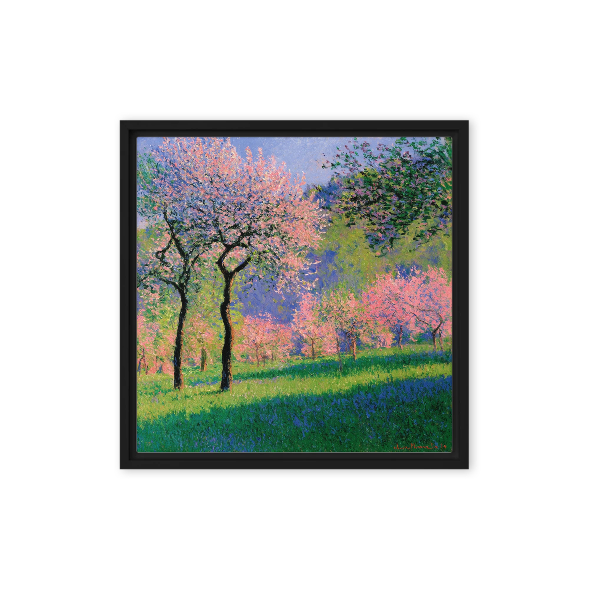 Spring Orchard