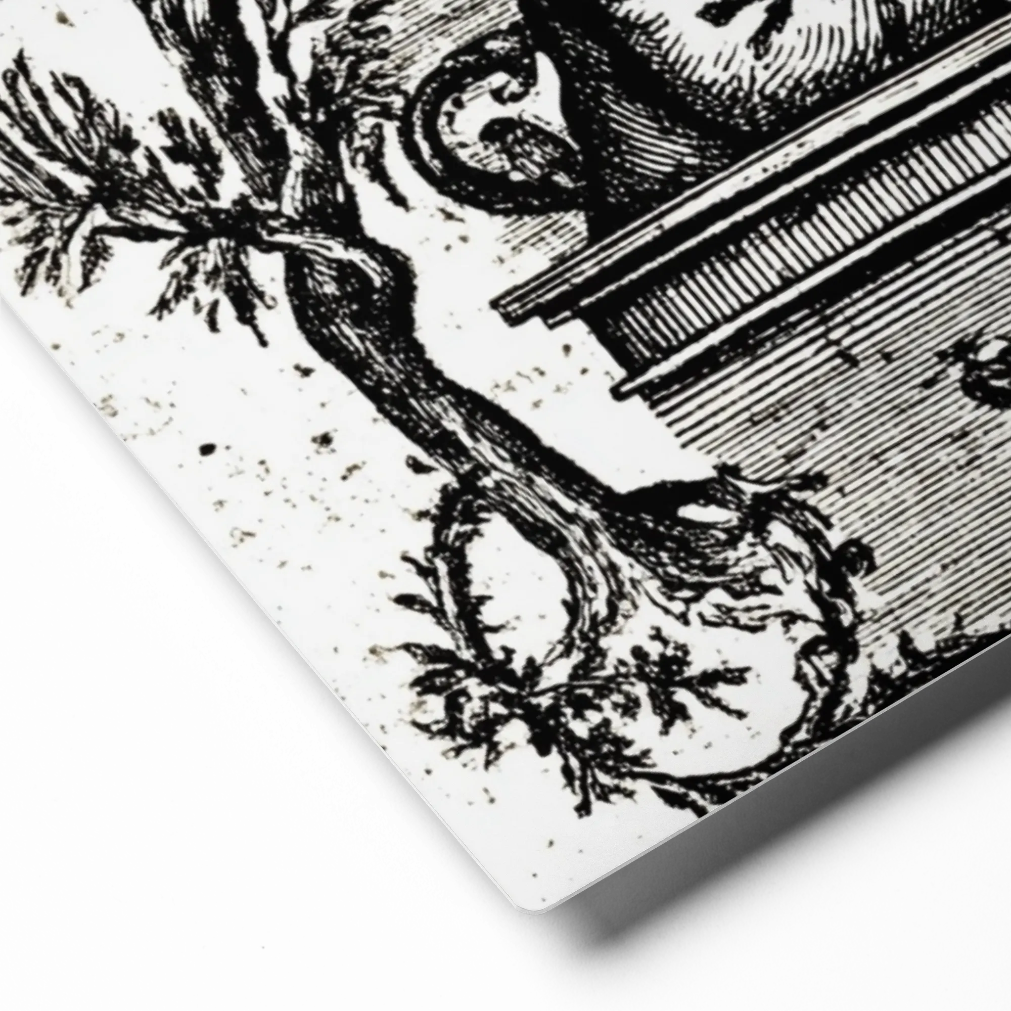 The Naturalist's Study | Art Print