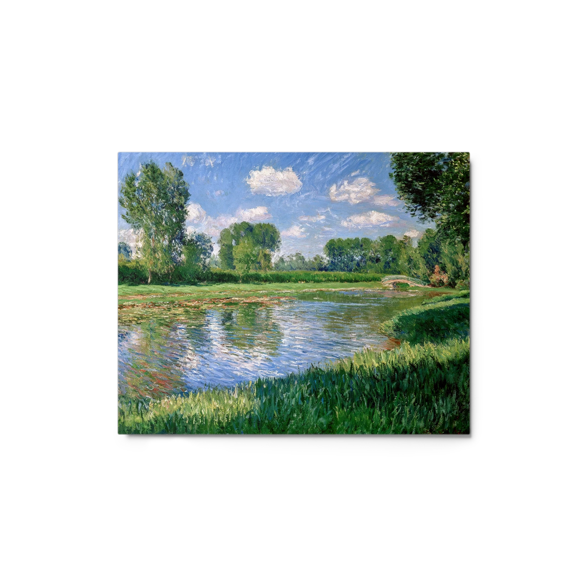 The Water Lily Pond