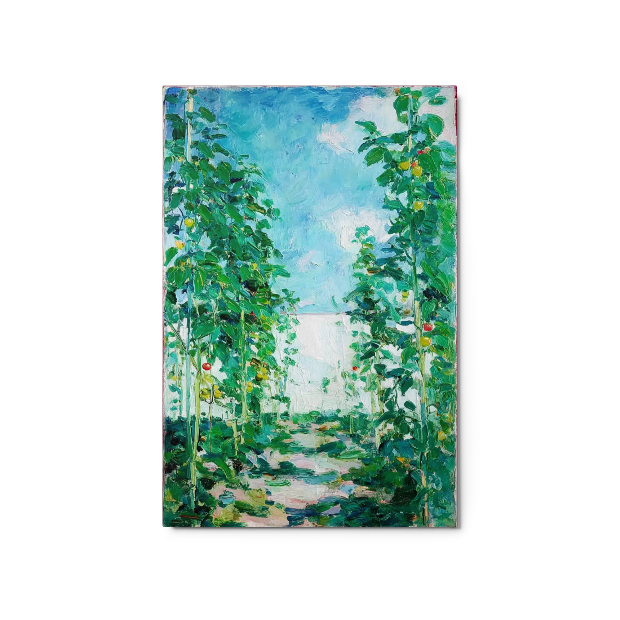 Green Vineyard Sun