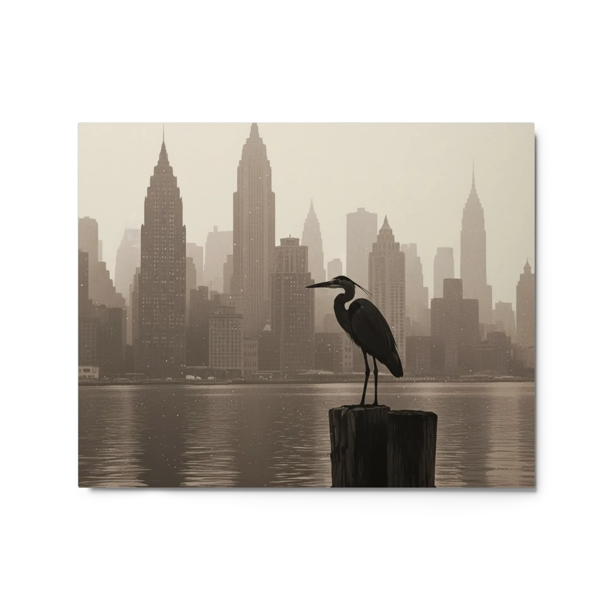 Harbor Heron