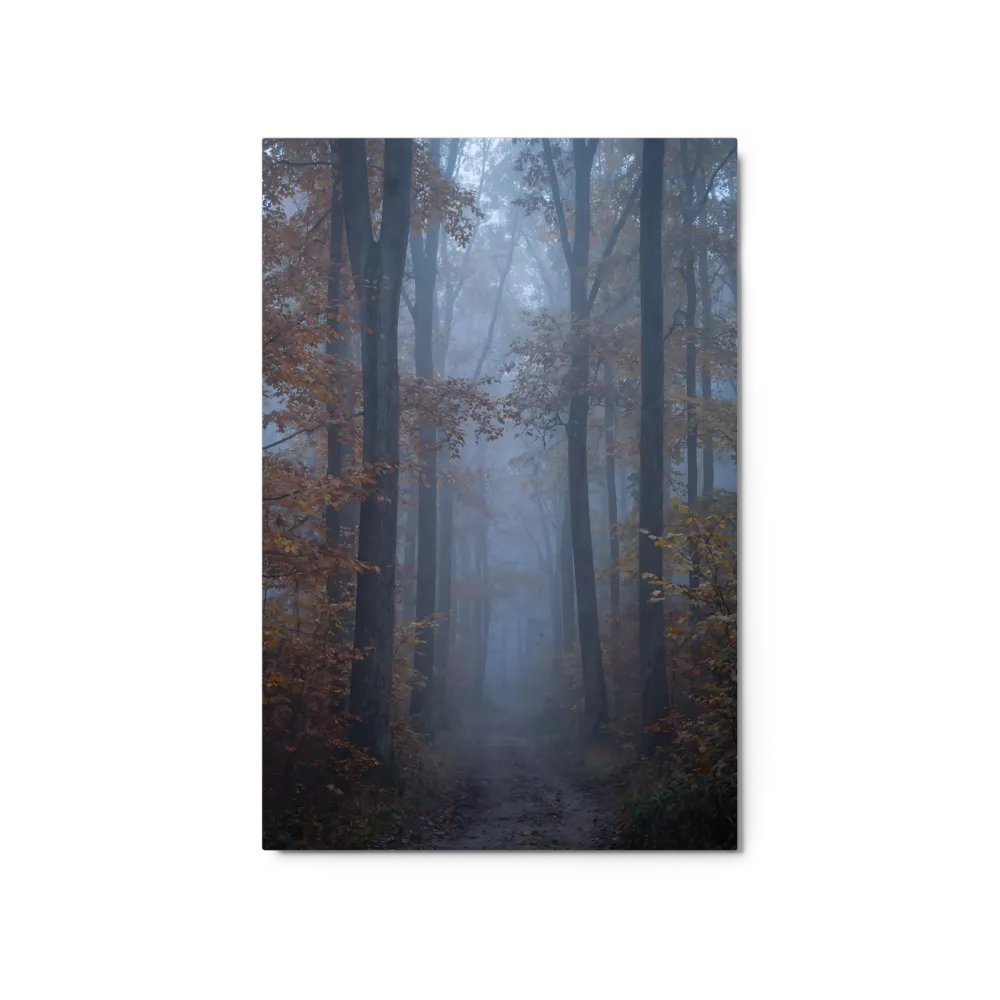 Mystical Foggy Forest