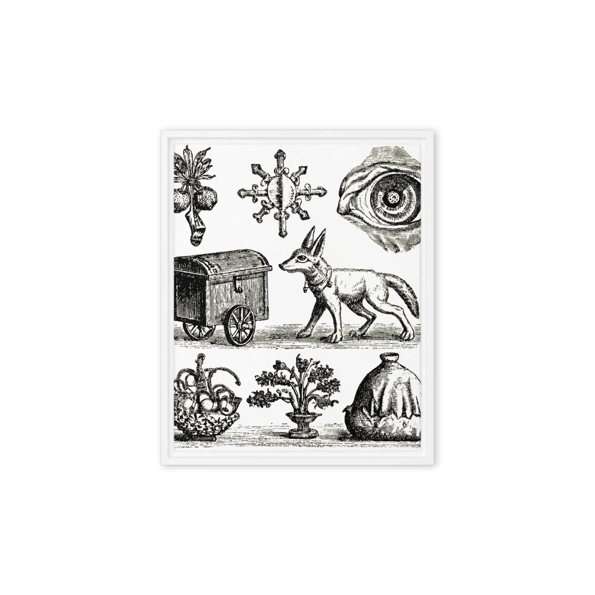 Curiosities Vintage Engraving Plate