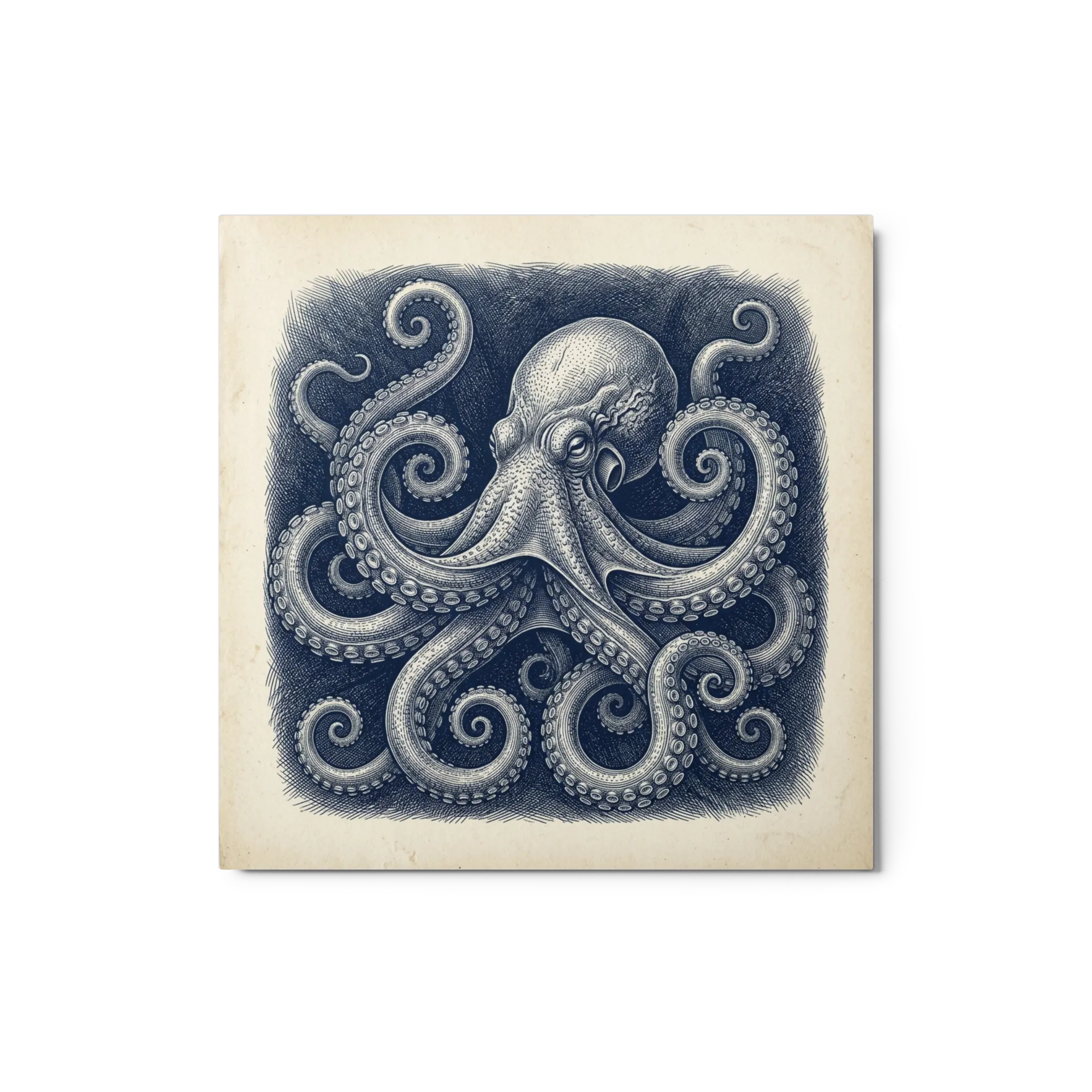The Kraken's Embrace