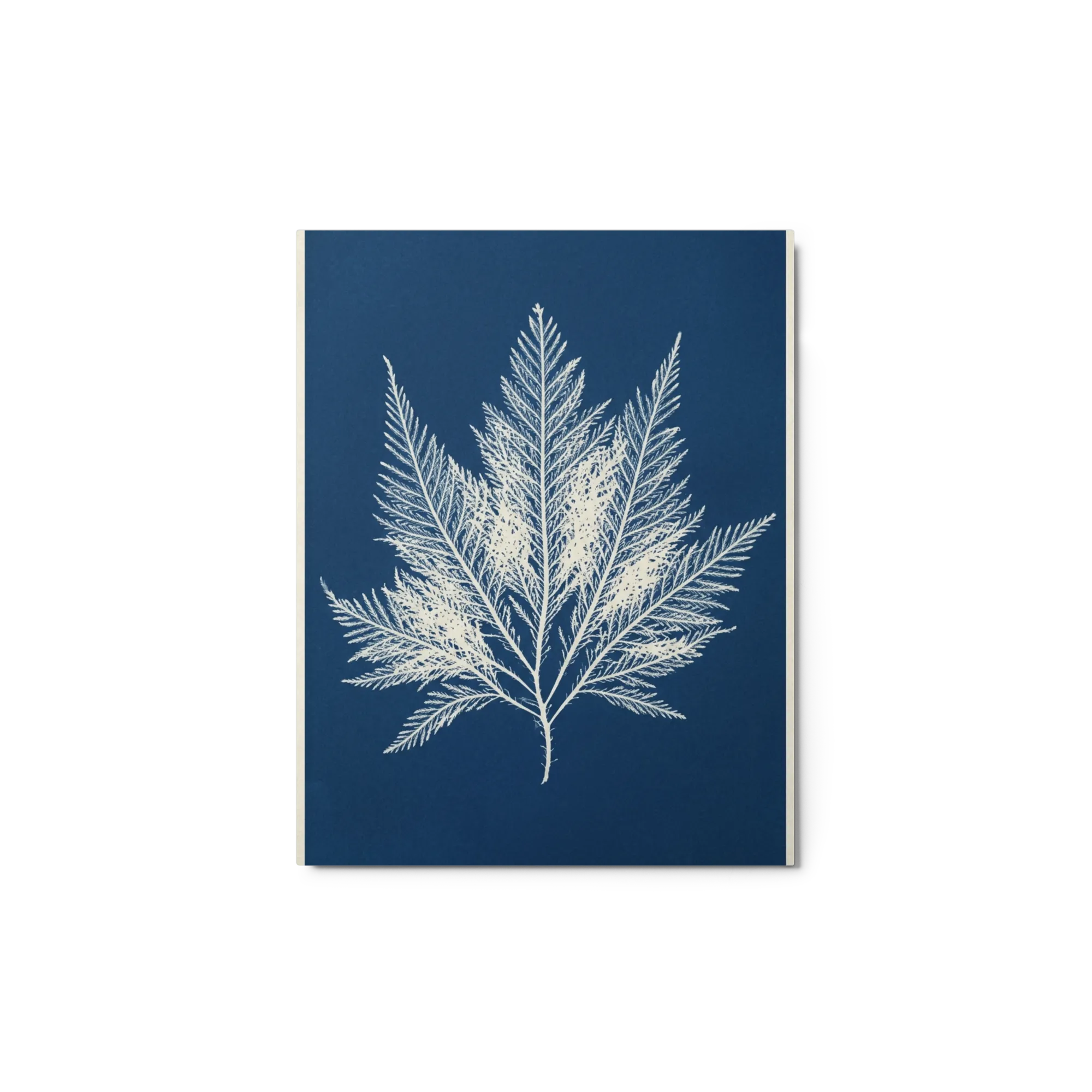 Prussian Fern