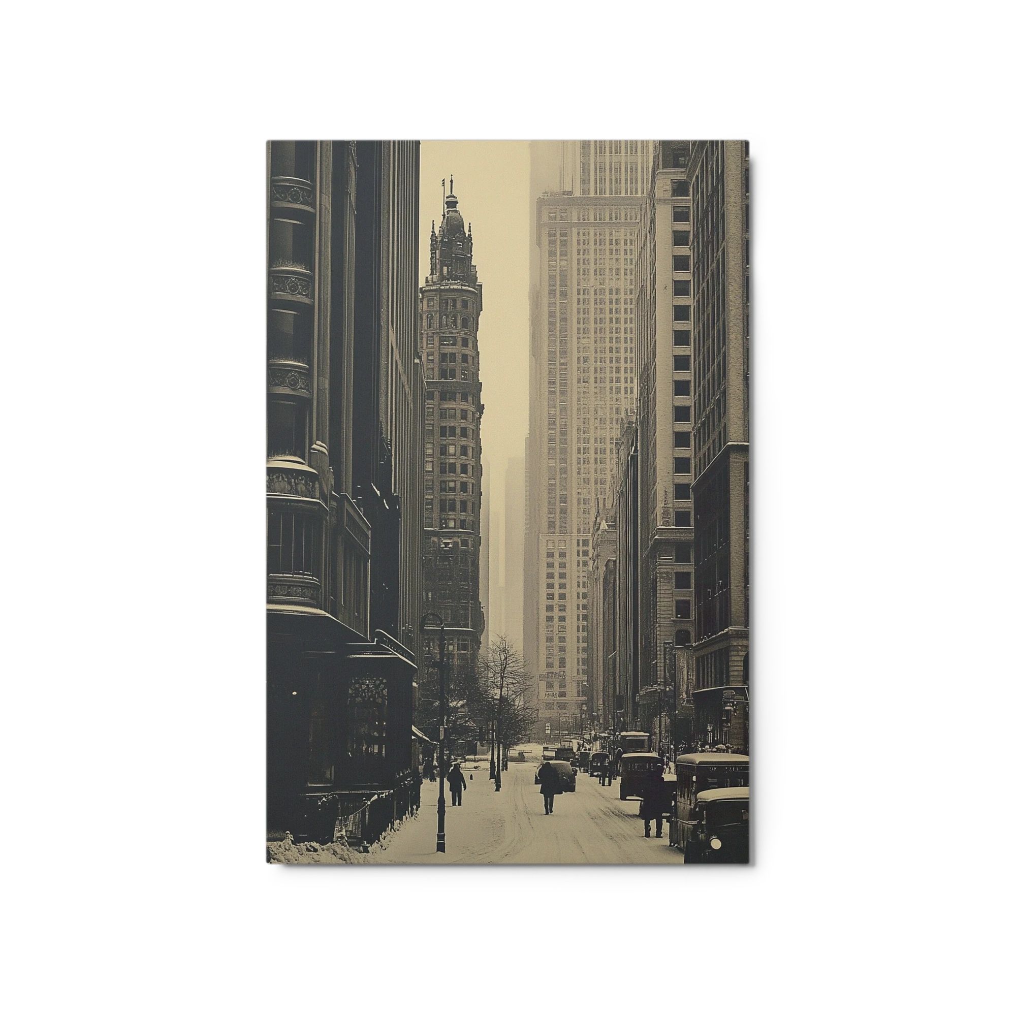 Winter's Urban Embrace