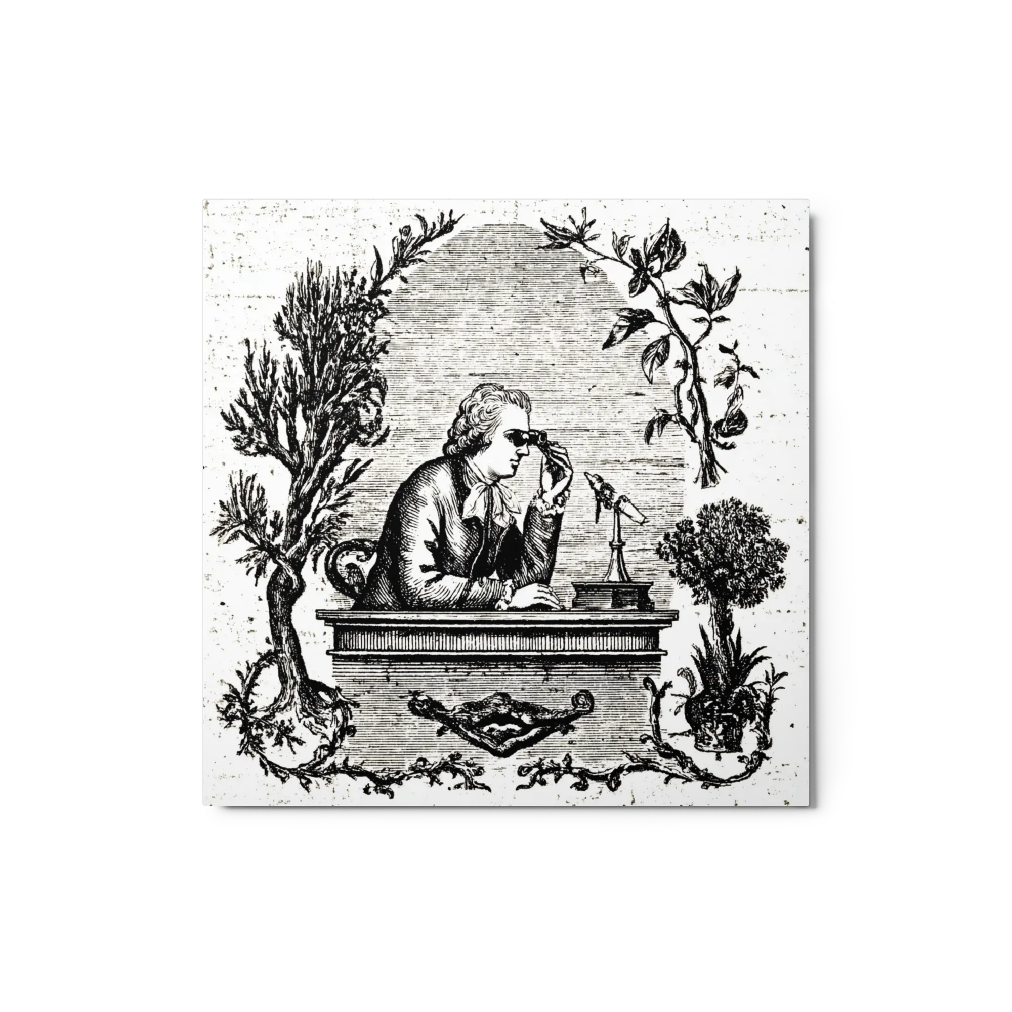 The Astronomer